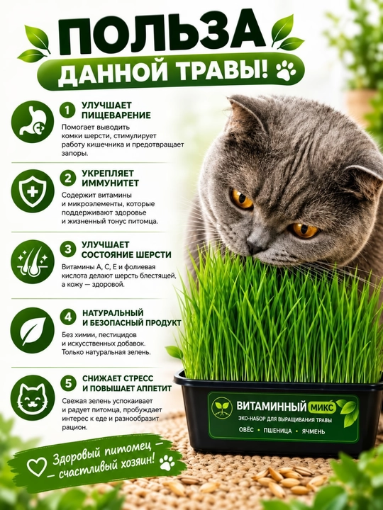 Трава для кошек «Витаминный микс», набор для выращивания травы
