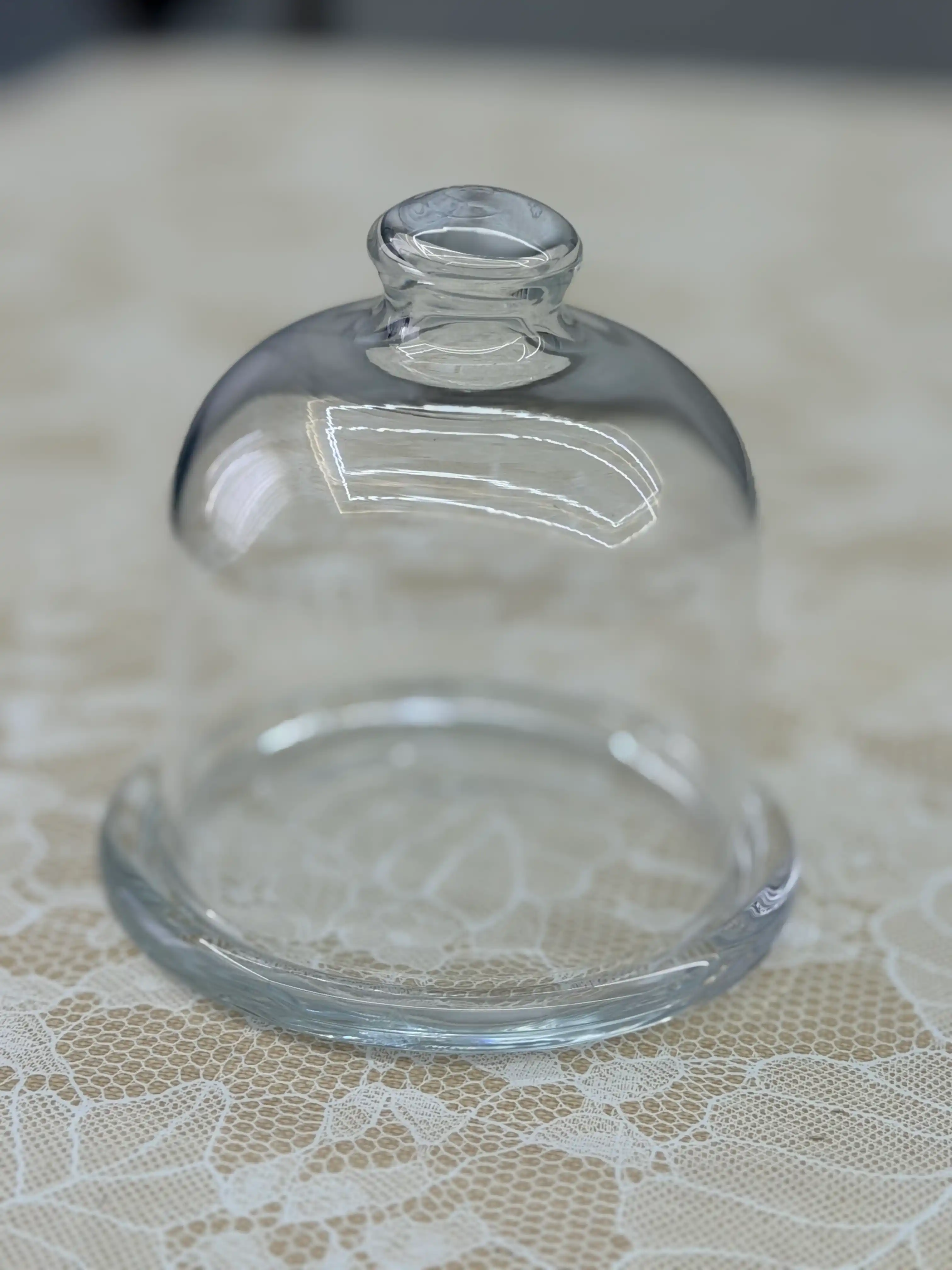 Лимонница стеклянная, с крышкой, Pasabahce