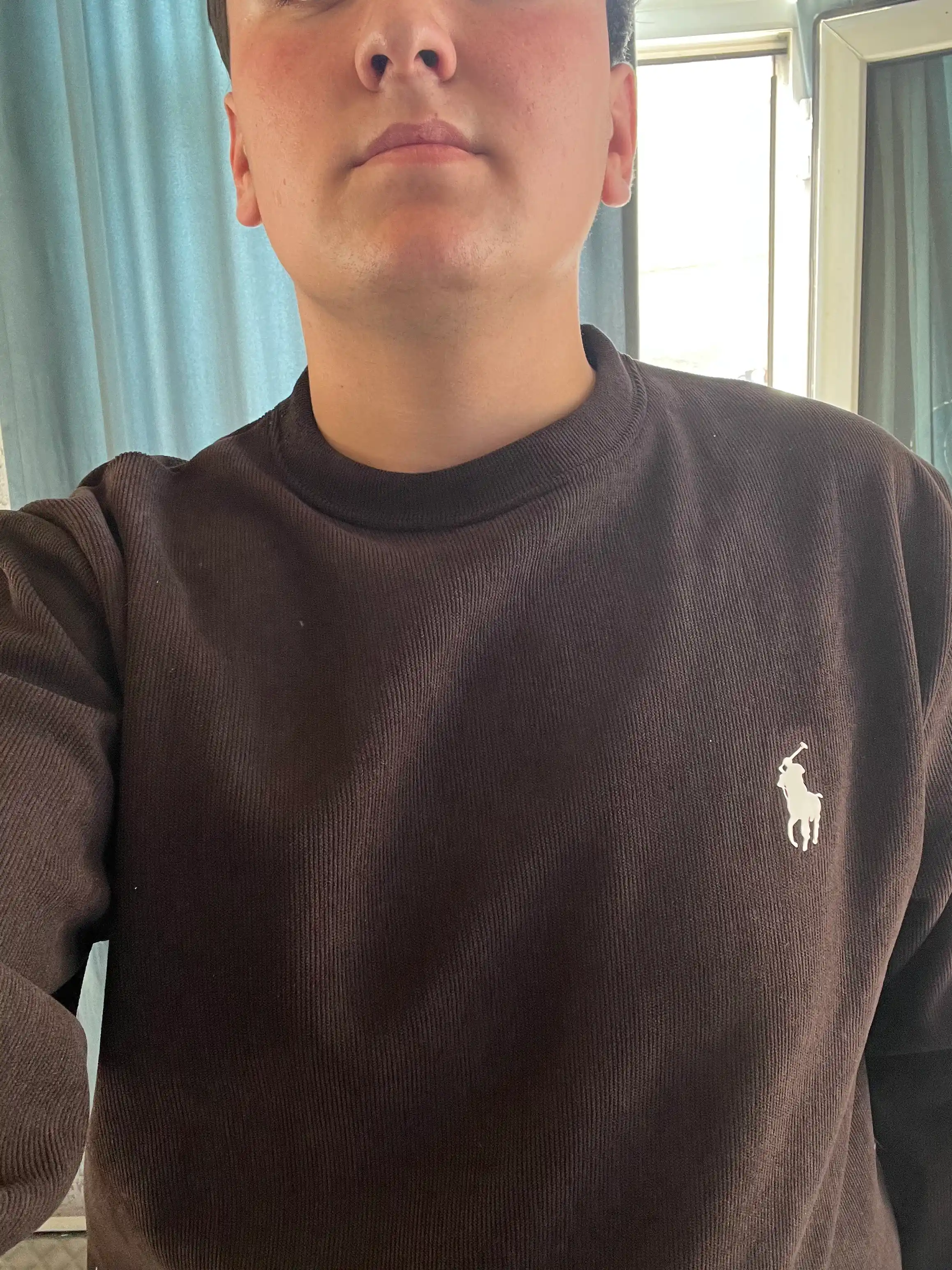 Polo Ralph Lauren, klassik paxta svitshot
