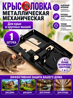 Черный