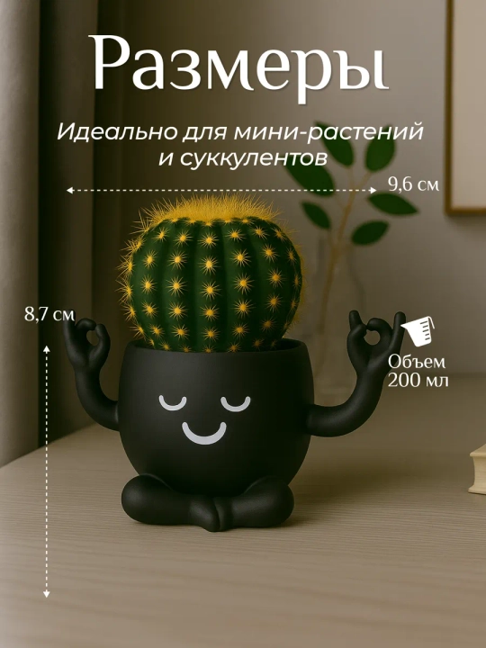 Горшок для цветов кактусов и суккулентов - 