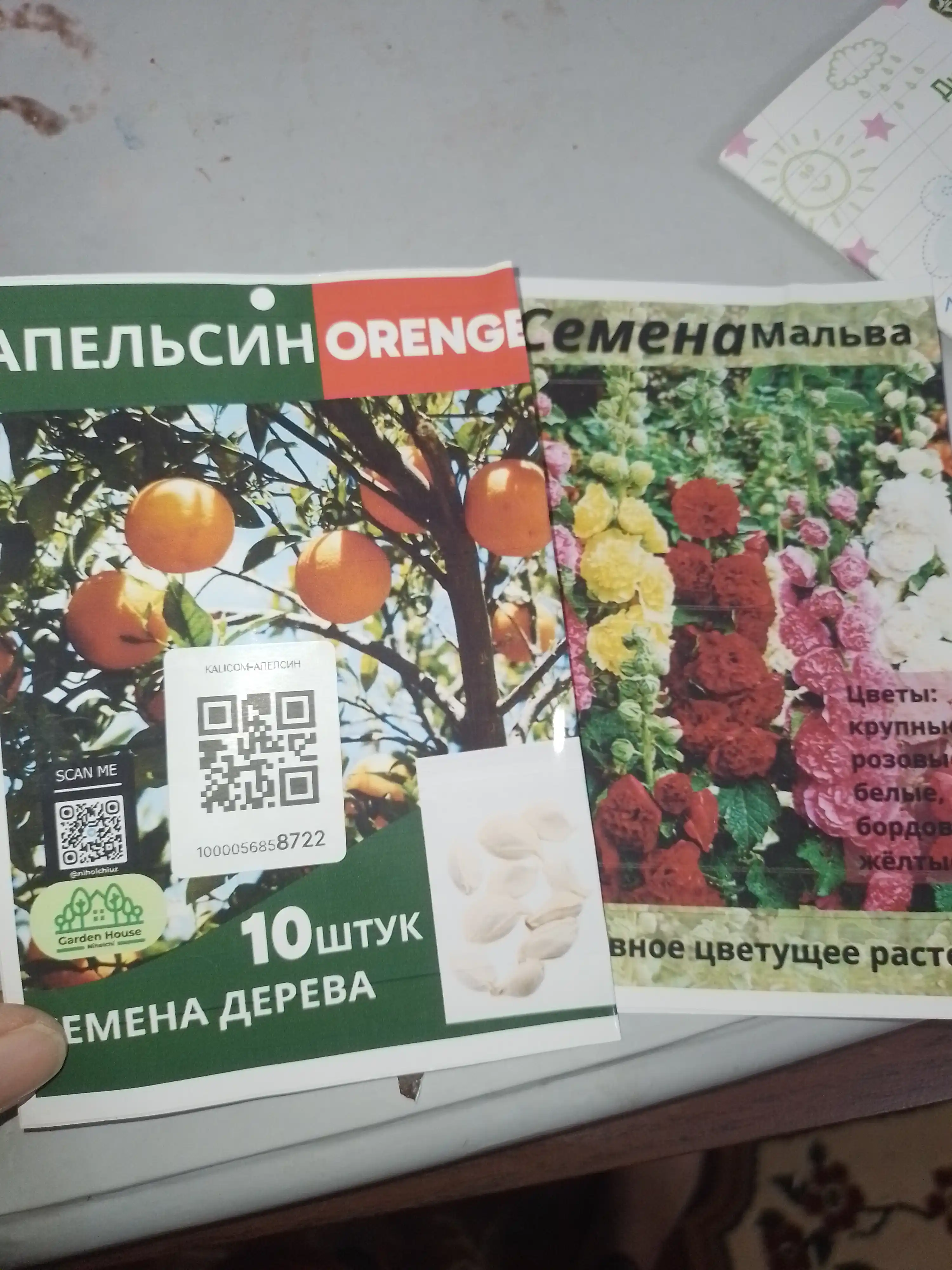 Apelsin urug‘lari