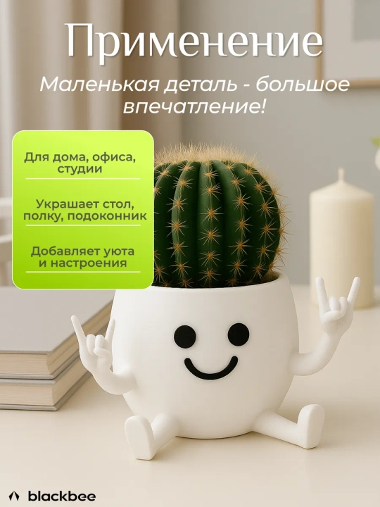 Kaktuslar va sukkulentlar uchun gul idishi