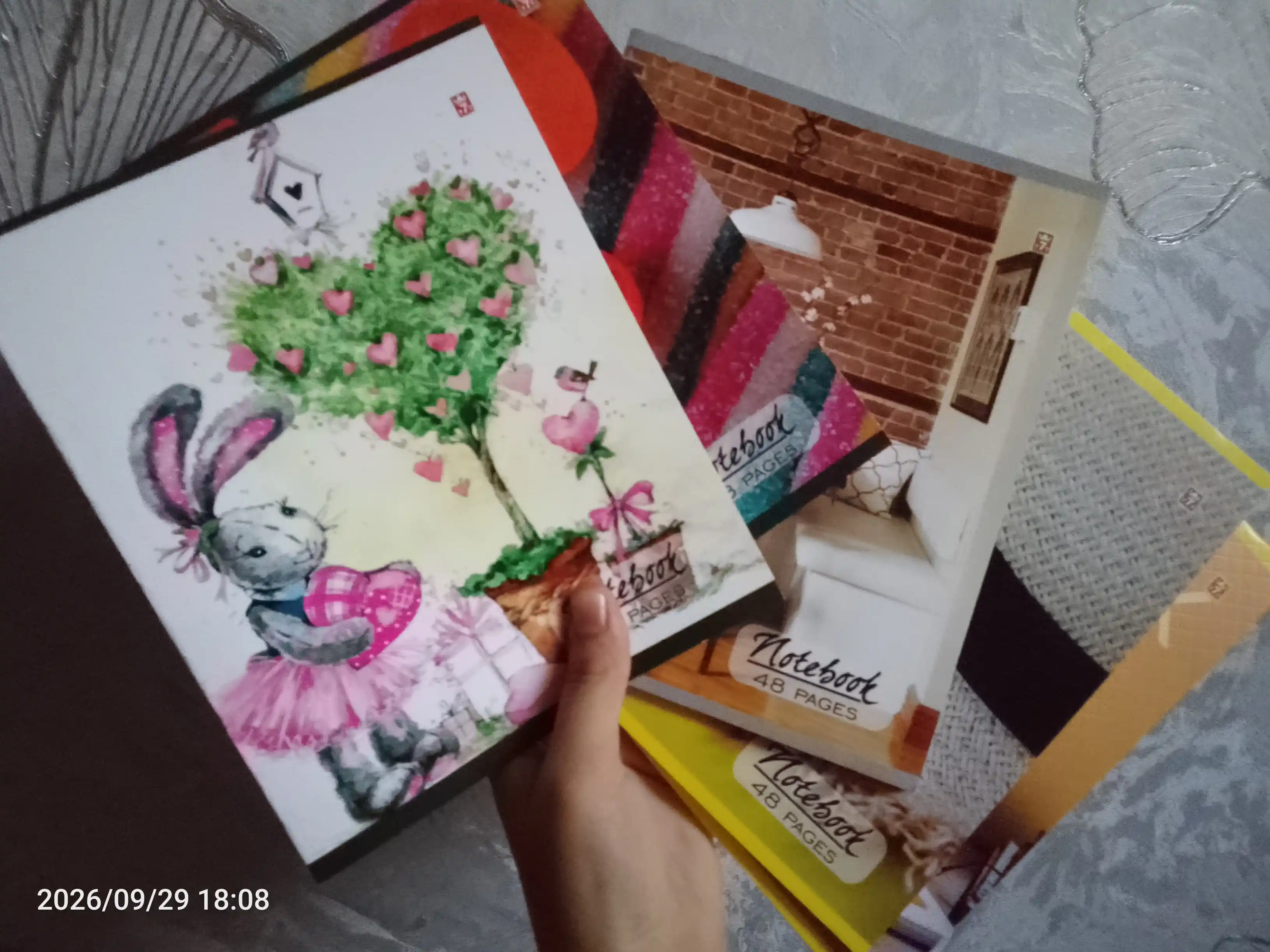 Daftar katakli, 48 varaq, 5 dona