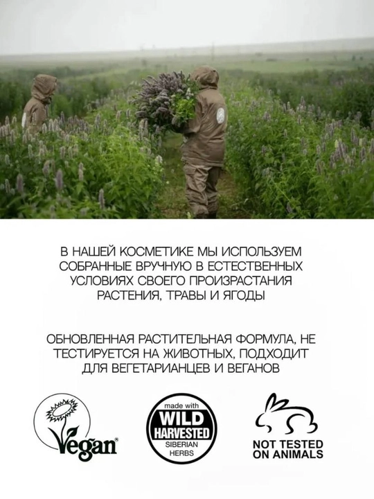 Скраб для тела Облепихово-медовый от Natura Siberica, антицеллюлитное средство