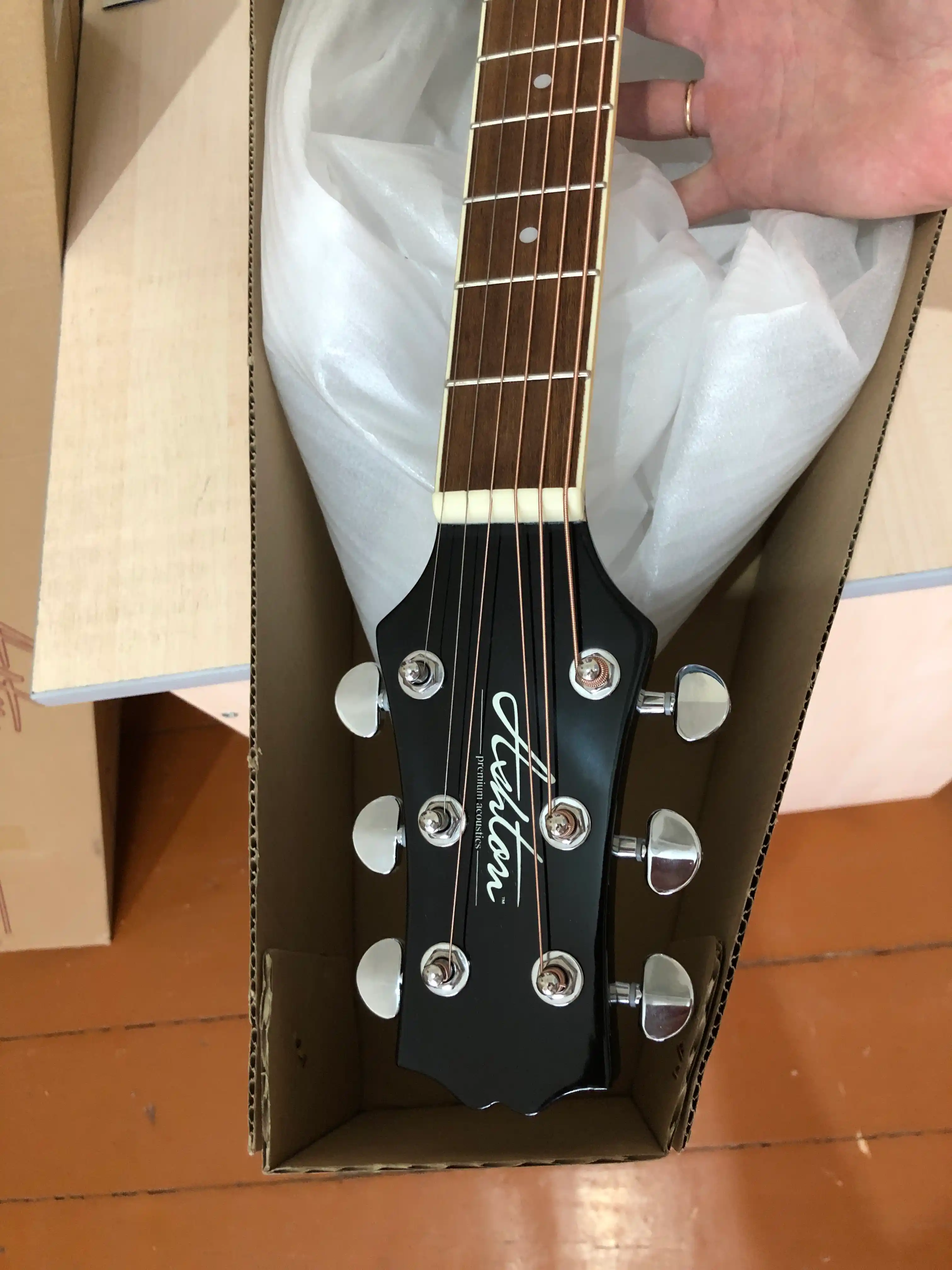 Ashton D20 Akustik Gitara ( BK va TSB)
