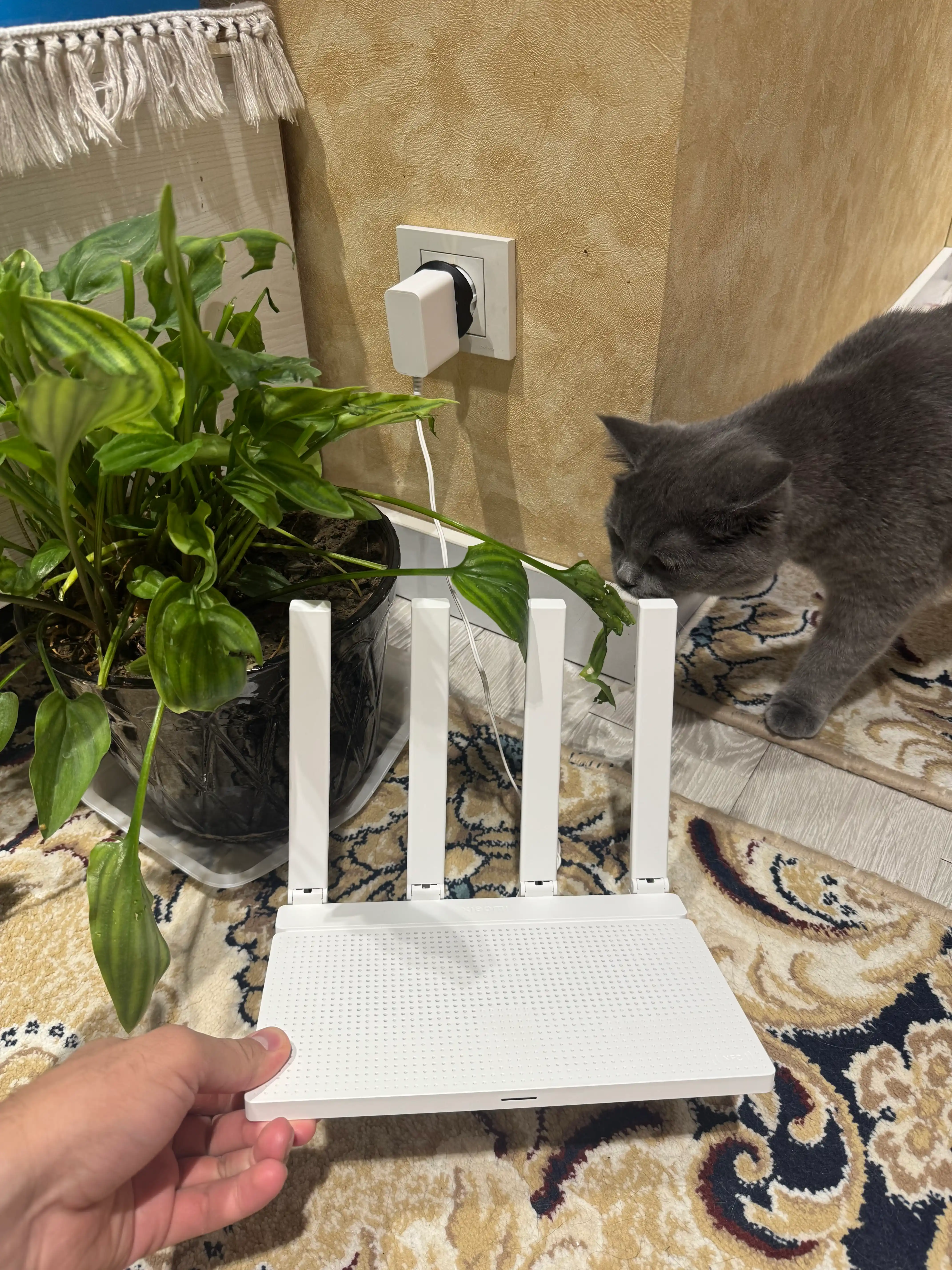 Router Xiaomi Wi-Fi AX3000T , ikki diapazonli,uy va ofis uchun Wi-Fi 6 router, 3000 Mbit/s