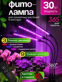 Xromrang