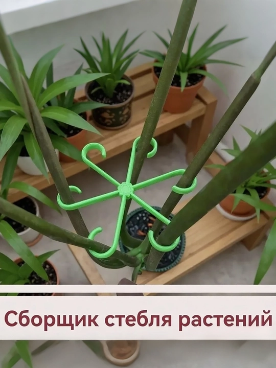 Опора от полегания растений, фиксатор стеблей горшечных цветов
