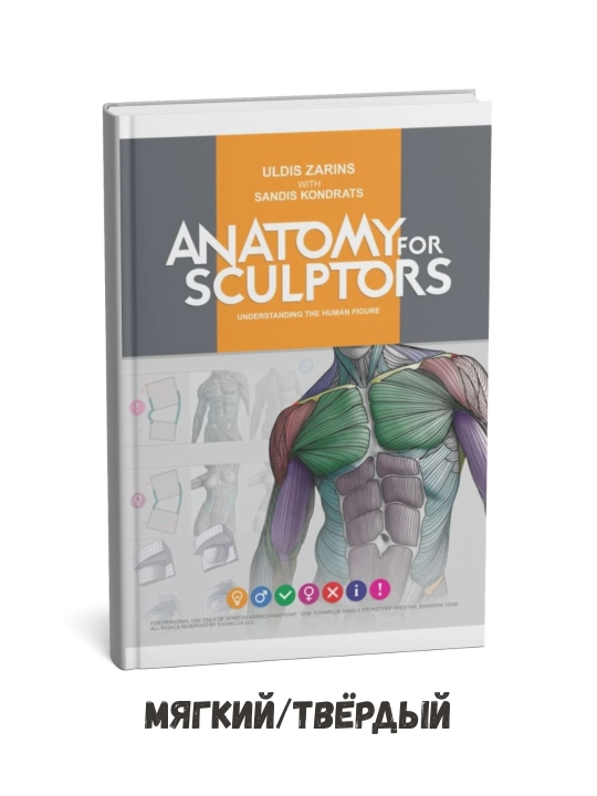 Uldis Zarinsning "Haykaltaroshlar uchun anatomiya" kitobi (ingliz tilida) - 