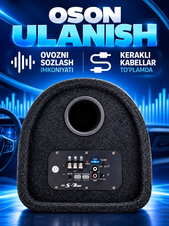 Avtomobillar uchun sambufer kalonka, 10 dyuymli, 300W, 4 Ohm