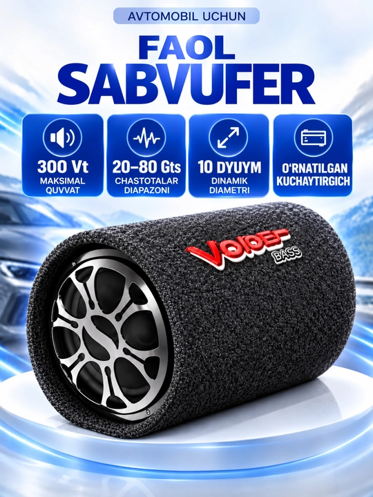 Avtomobillar uchun sambufer kalonka, 10 dyuymli, 300W, 4 Ohm