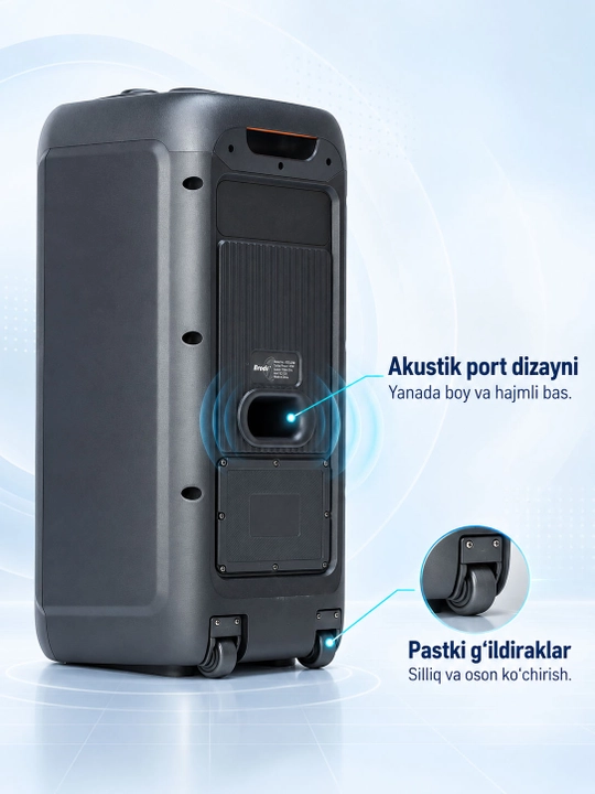 Portativ Bluetooth karnay, 2 ta 8 dyuymli dinamik, RGB chiroqlar, gitara kirishi