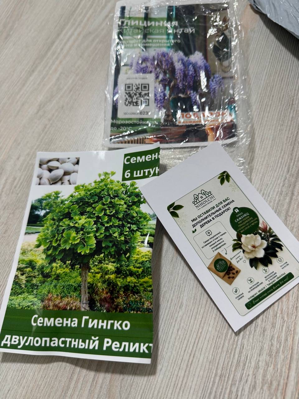 Глициния Китайская Янтай, семена, 5 шт, семена садовых цветов, декоративная лиана