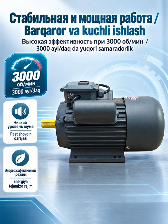 Bir fazali YL100L-2, 3kVt YL90L-2,2.2kVt YC122M-2,4kVt elektr dvigateli