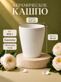 Белый