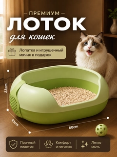 Лайм