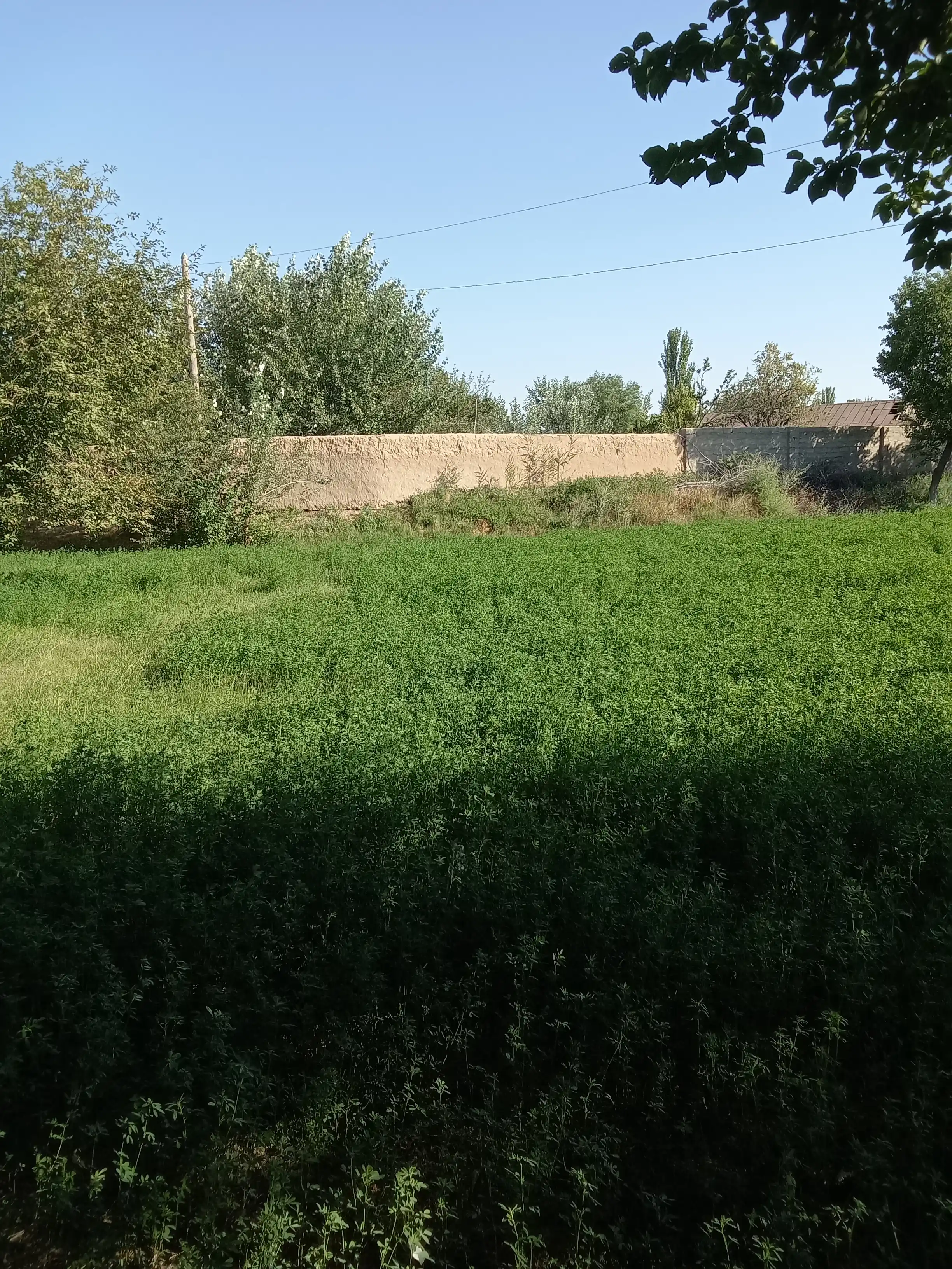 Nam salfetkalar Esty, 120 dona
