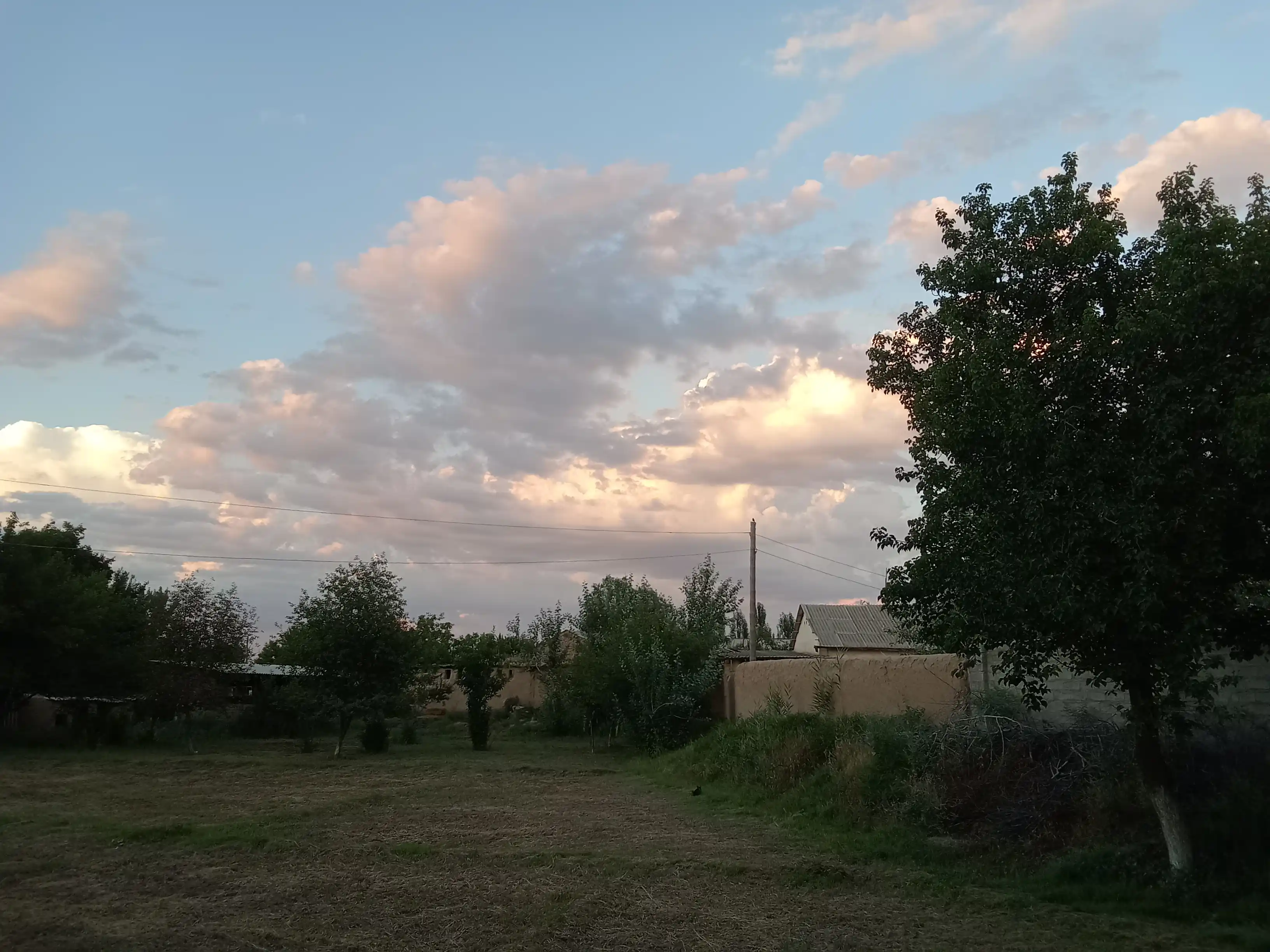 Nam salfetkalar Esty, 120 dona