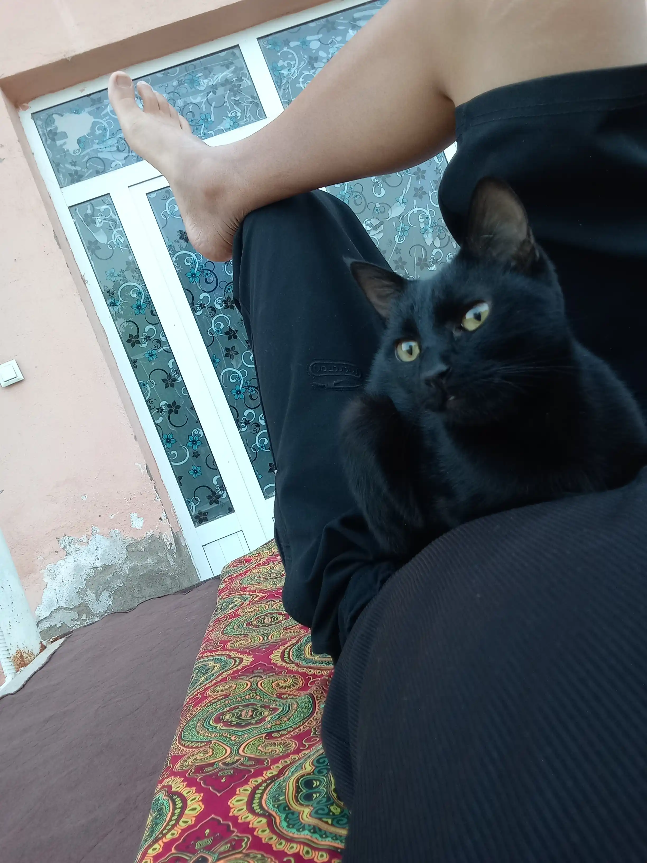 Nam salfetkalar Esty, 120 dona