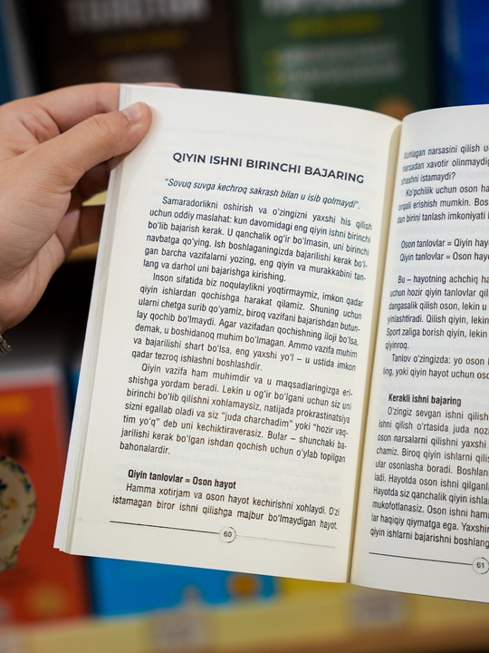 Искусство лени (Dangasalik san'ati) — Library Mindest