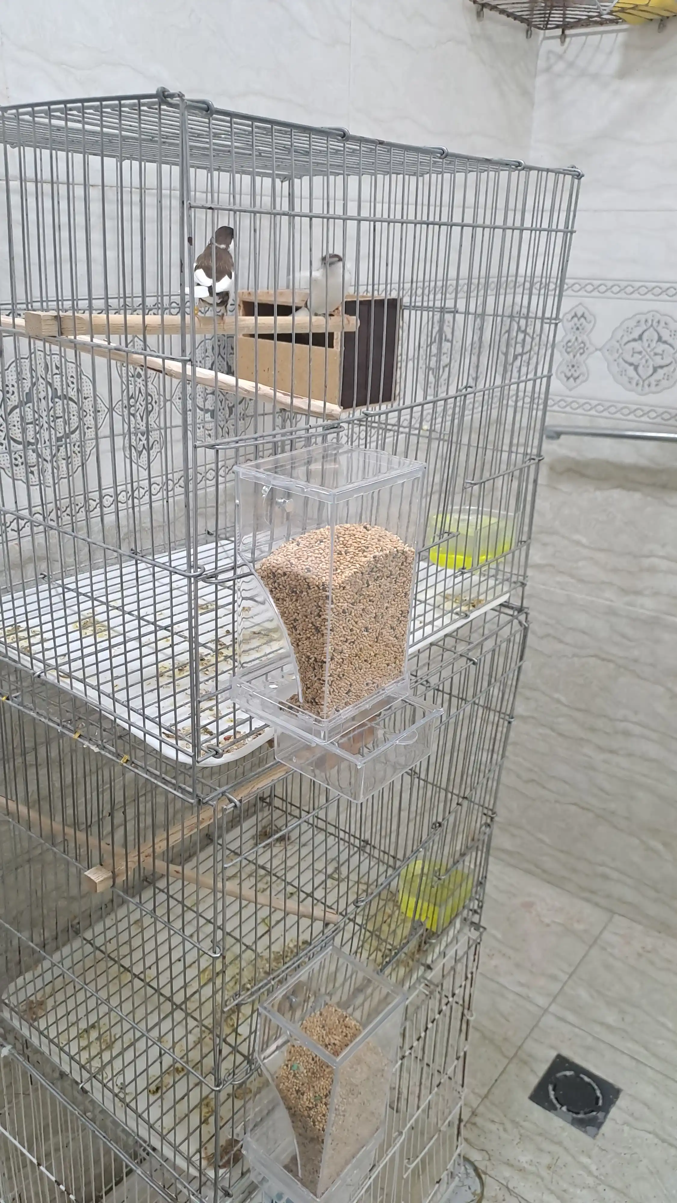 Qushlar va popugaylar uchun avtomatik oziqlantirgich