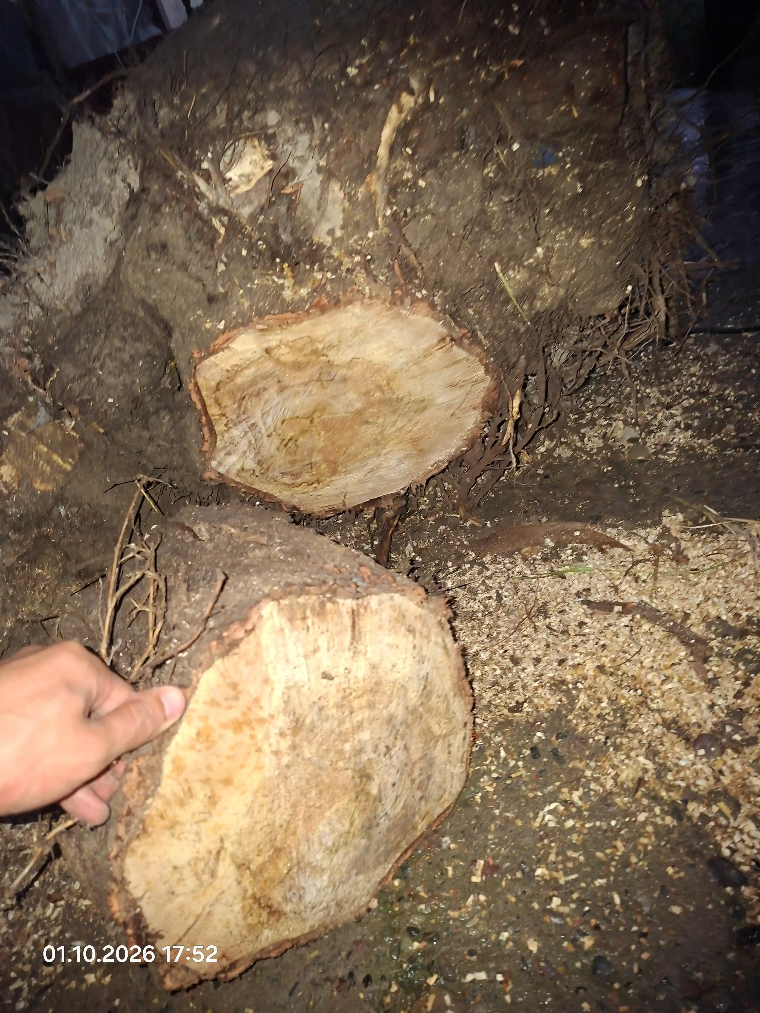 Elektr zanjirli arra URAGAN, motorli arra 2850wt