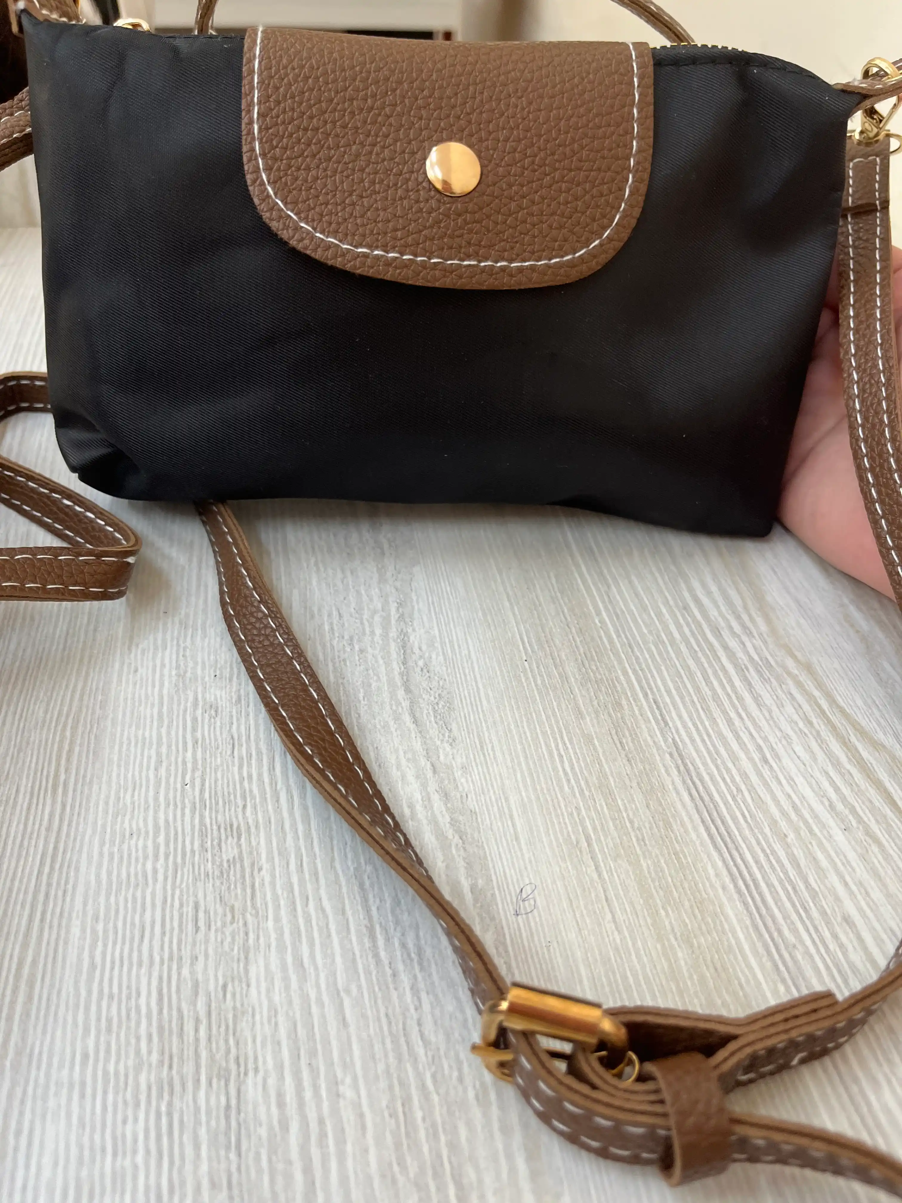 Mini Longchamp uslubidagi ayollar sumkasi, ixcham krossbodi va kosmetika sumkachasi