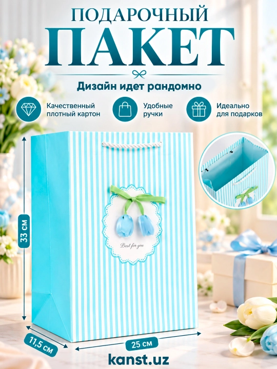 Tutqichli katta sovg‘a paketi, 33 × 25 × 11,5 sm - 