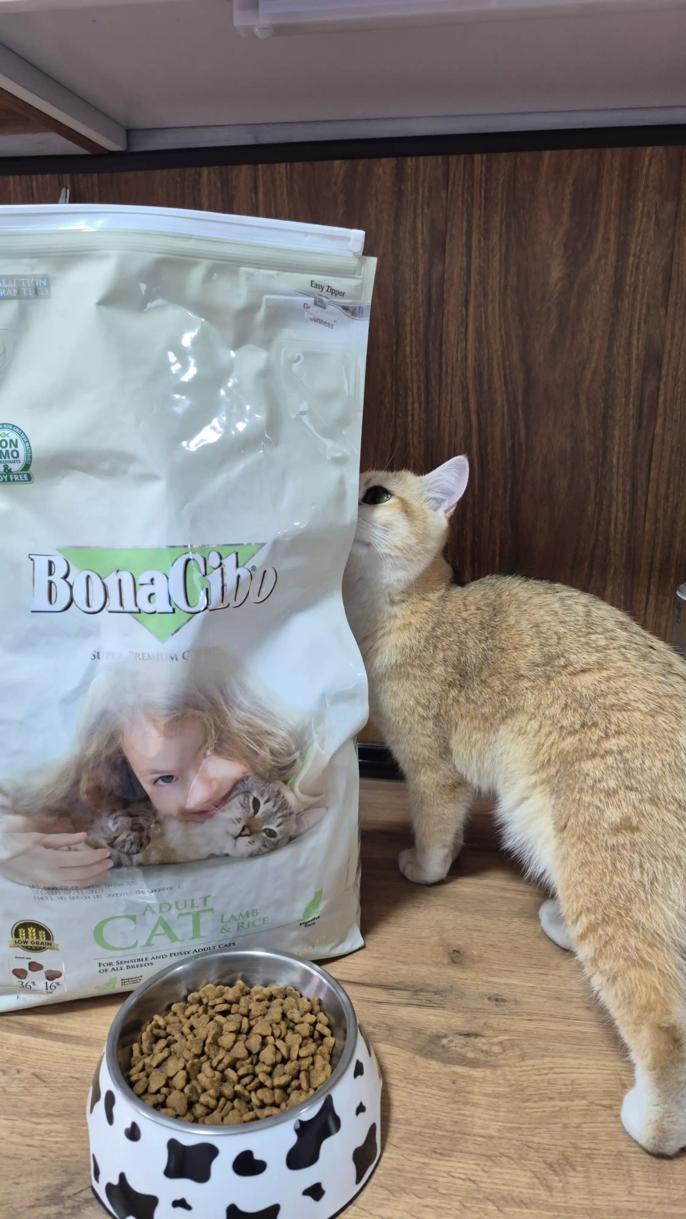 BonaCibo mushuklar uchun quruq yem, qo‘y go‘shti va guruch bilan, 5 kg