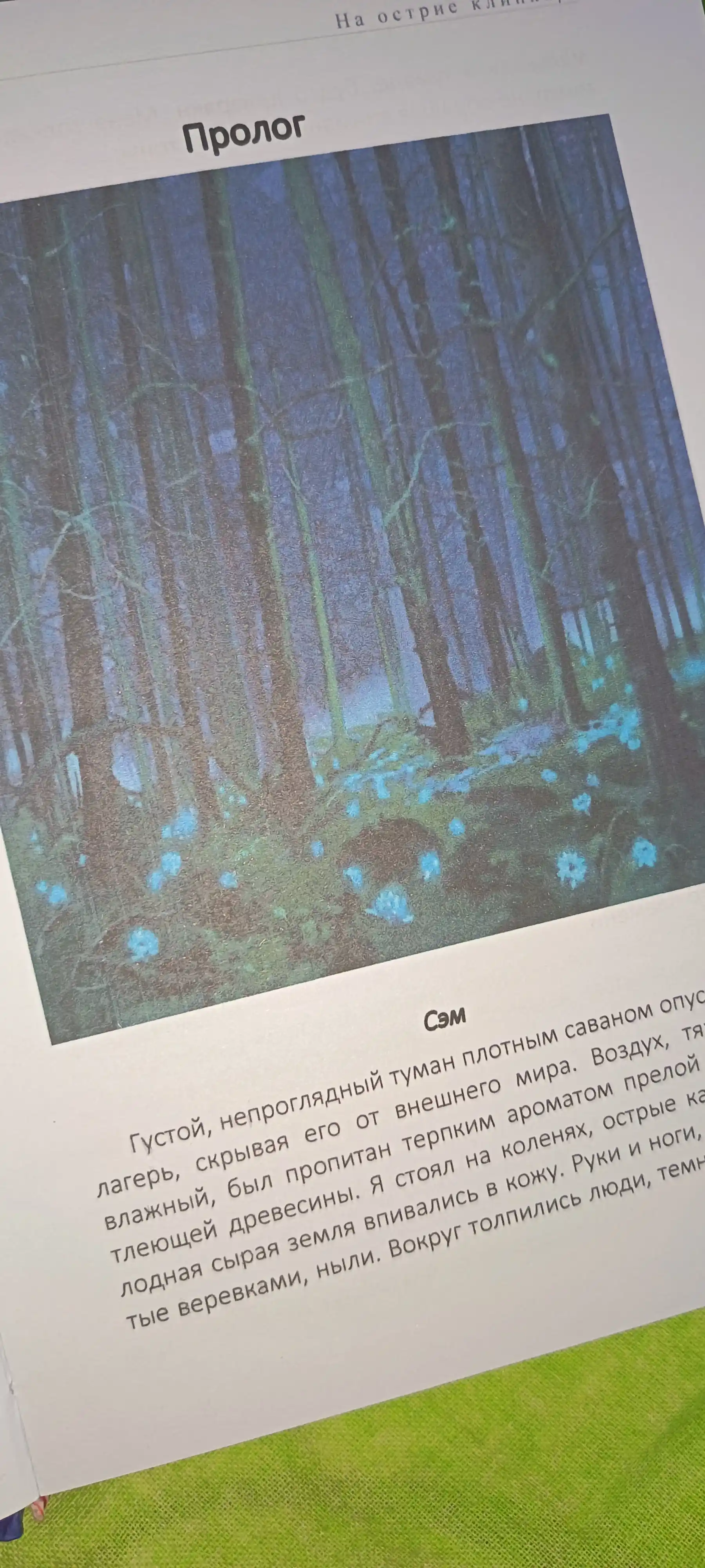На острие клинка Лия Стеффи, Аллен Дуэль