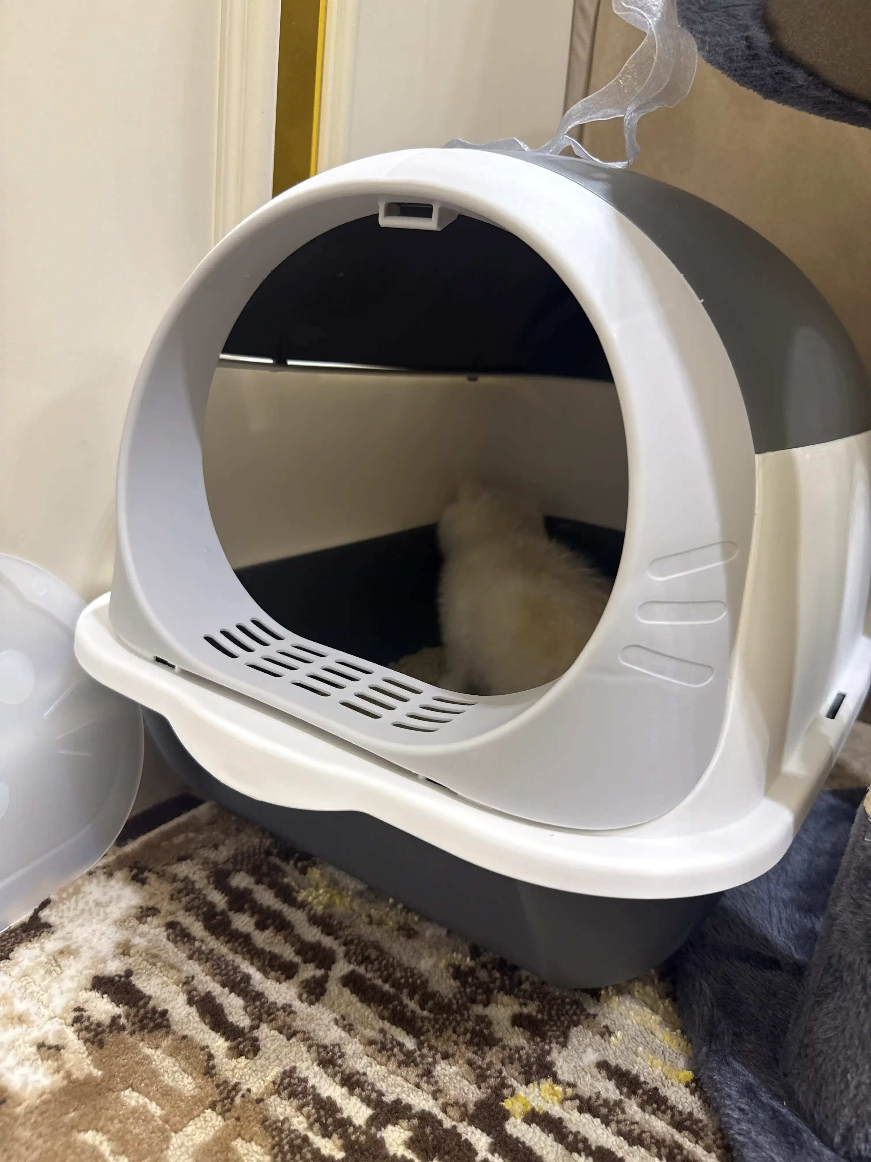 Лоток для кошек