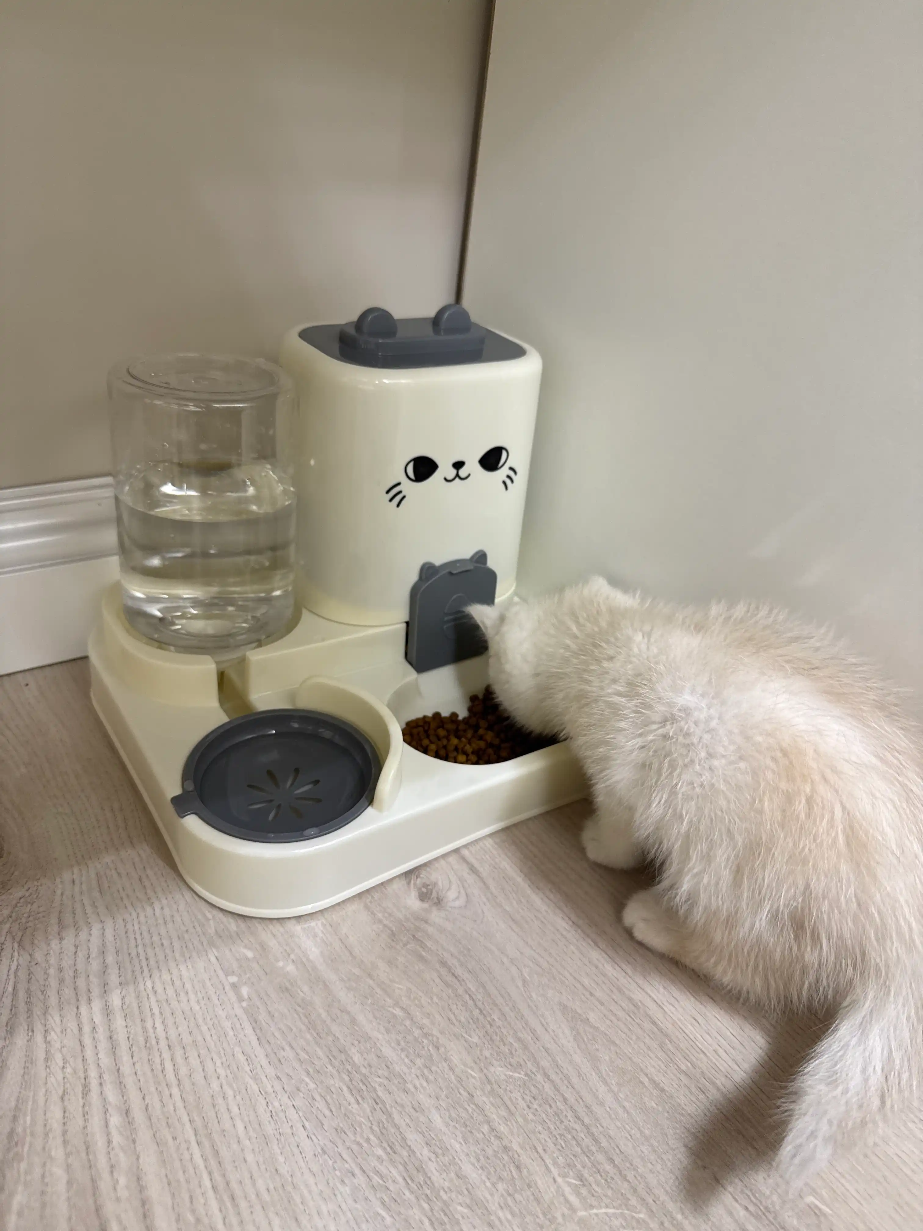 Кормушка для животных, автоматическая