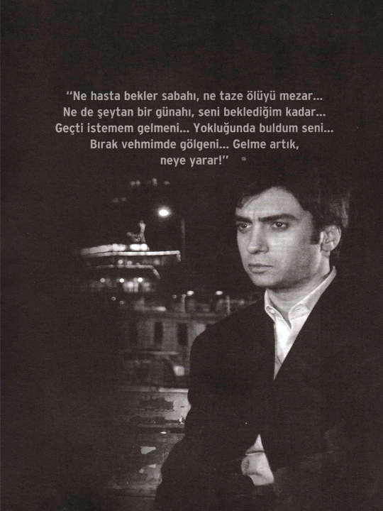 Kurtlar Vadisi turk tilida
