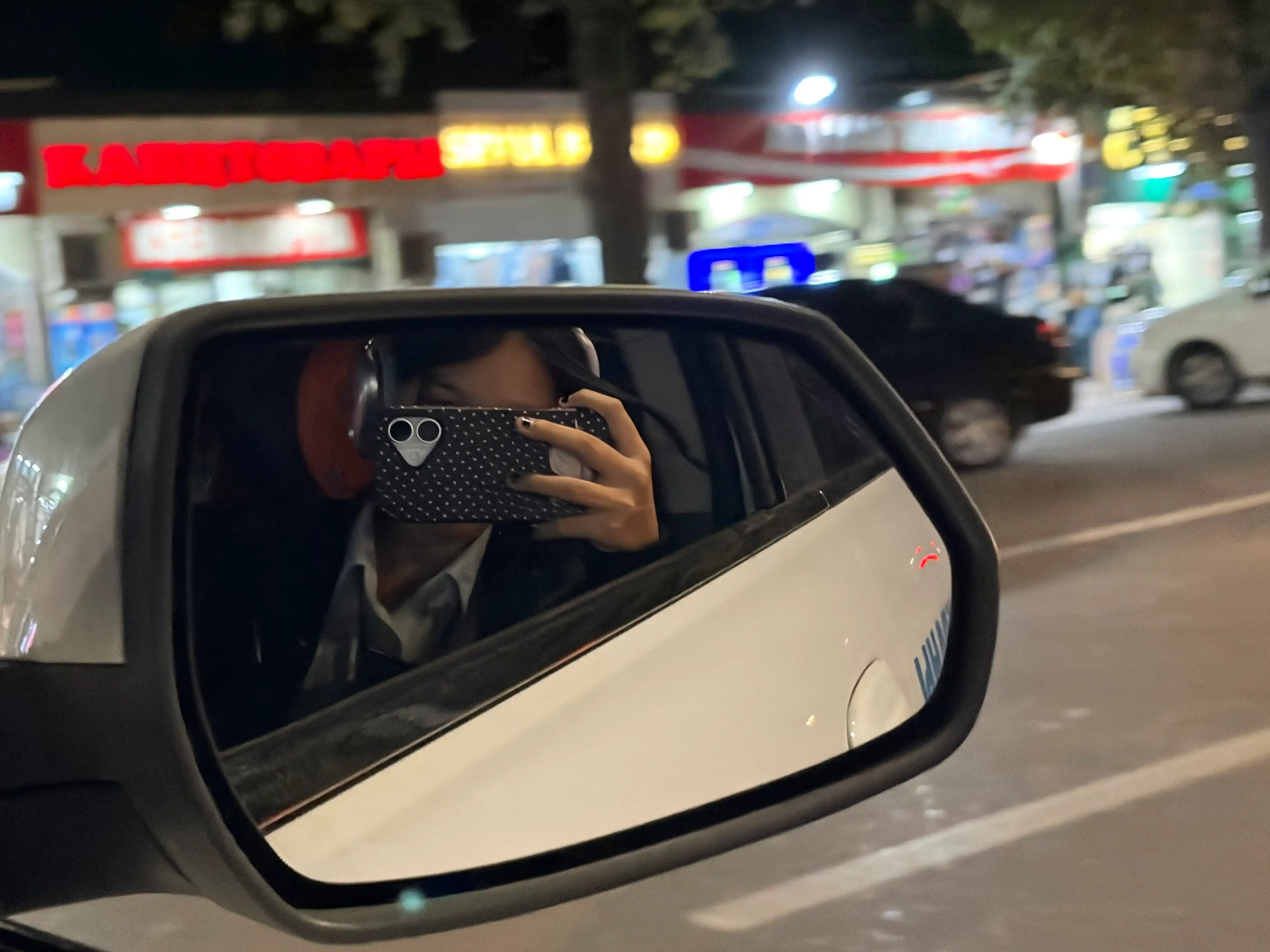 IPhone uchun «Oqqush» naqshli g‘ilof