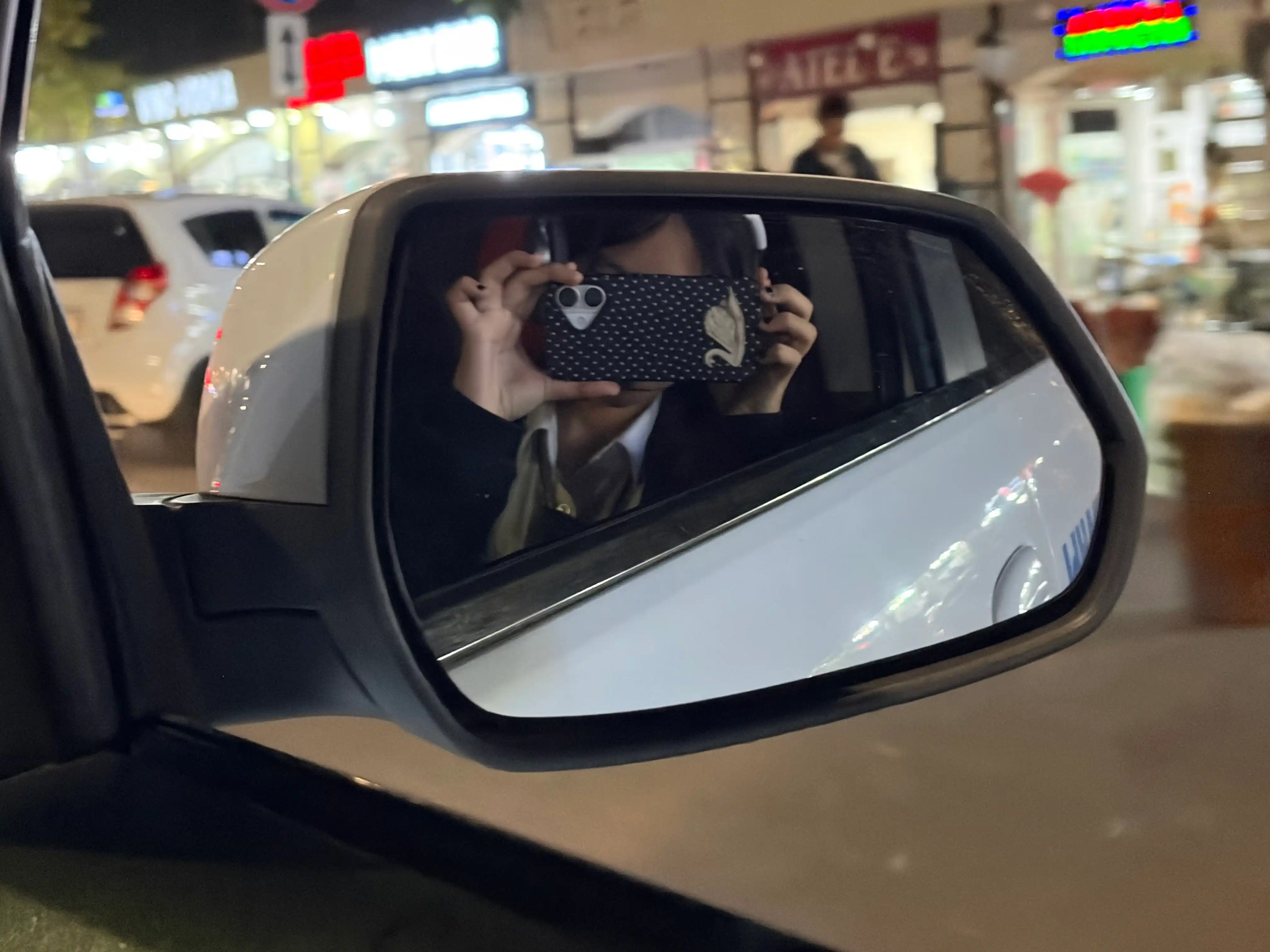 IPhone uchun «Oqqush» naqshli g‘ilof