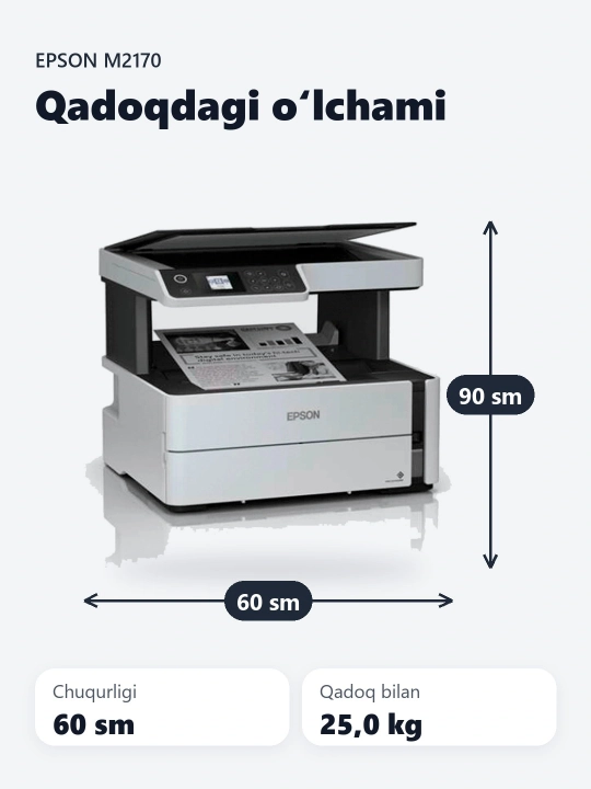 Принтер струйный Epson M2170