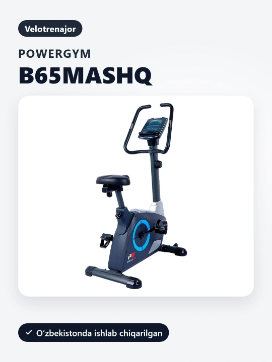 PowerGym B65 mashq velosipedi