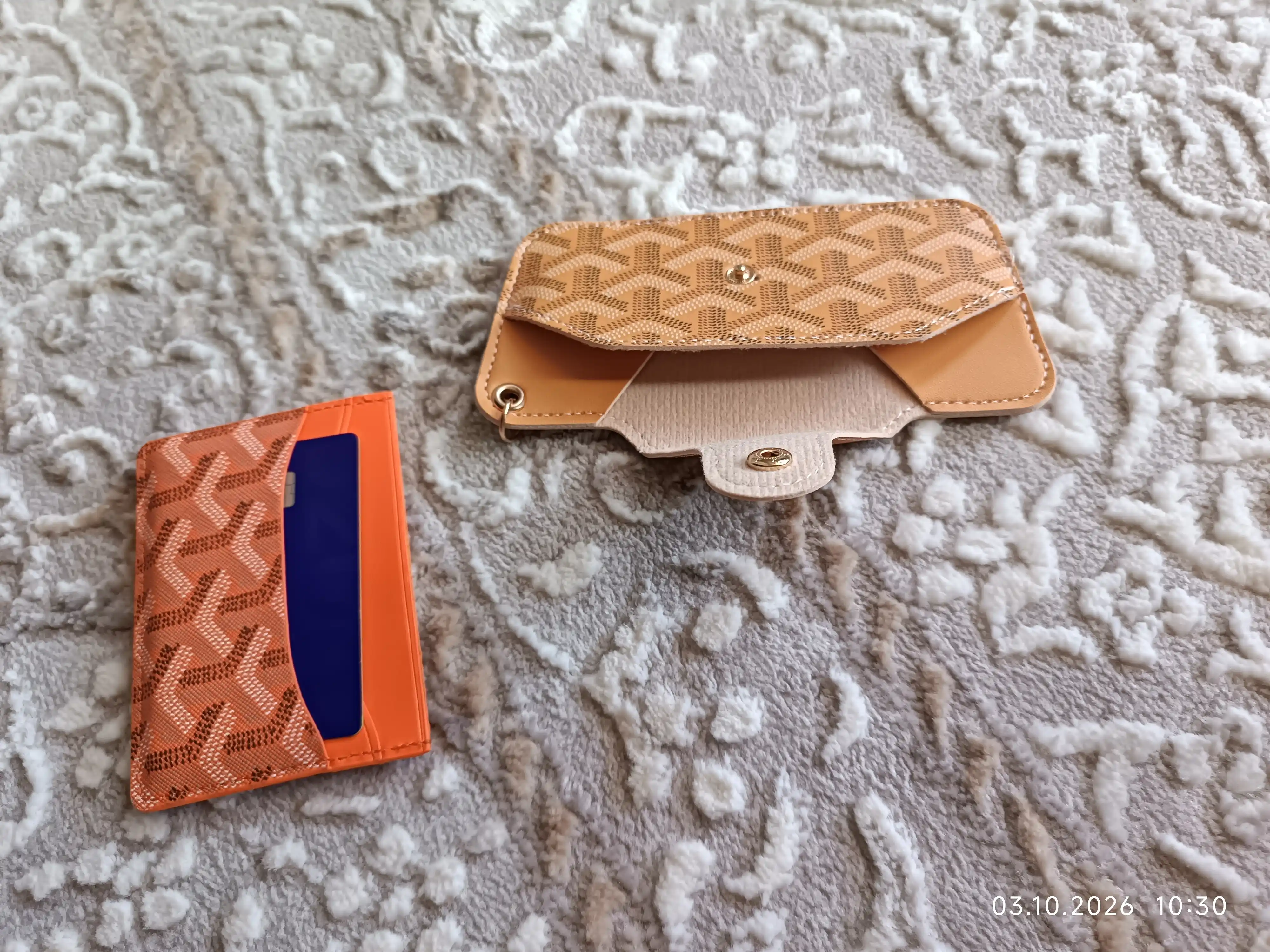 Футляр для очков Goyard