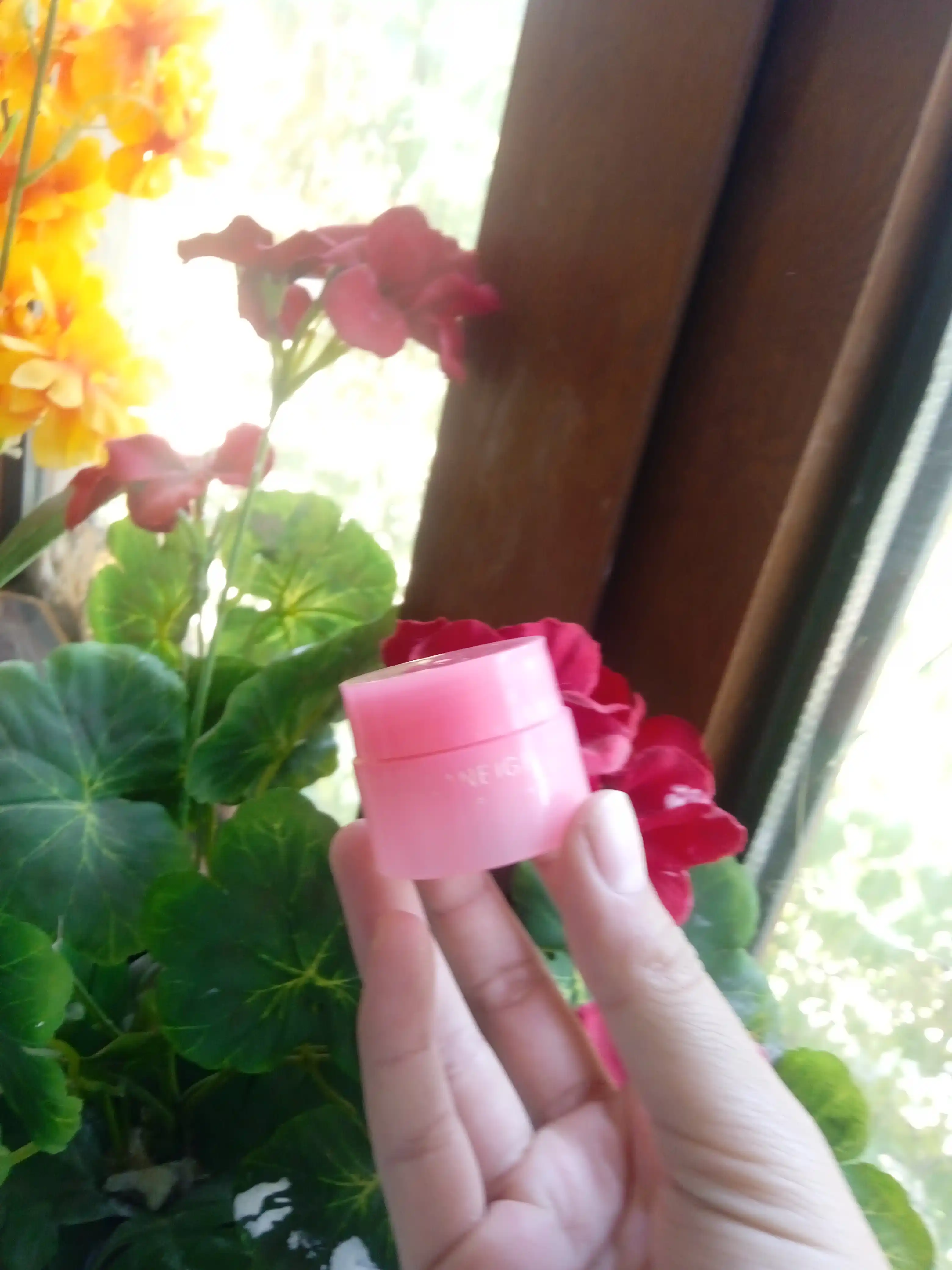 Lablar uchun balzam Laneige, 3 g