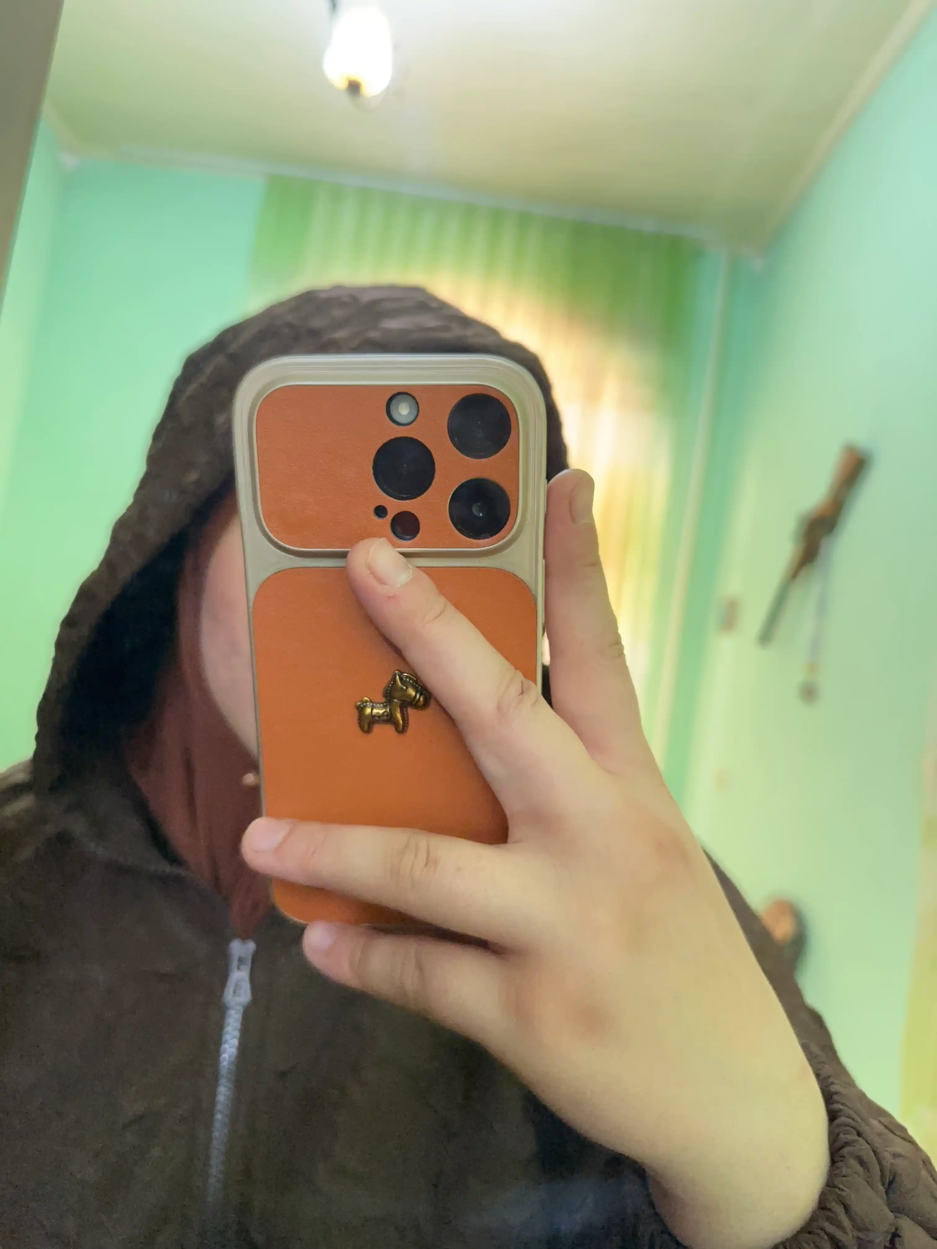 IPhone modellari uchun premium sifatli charm chehol, Limited Edition