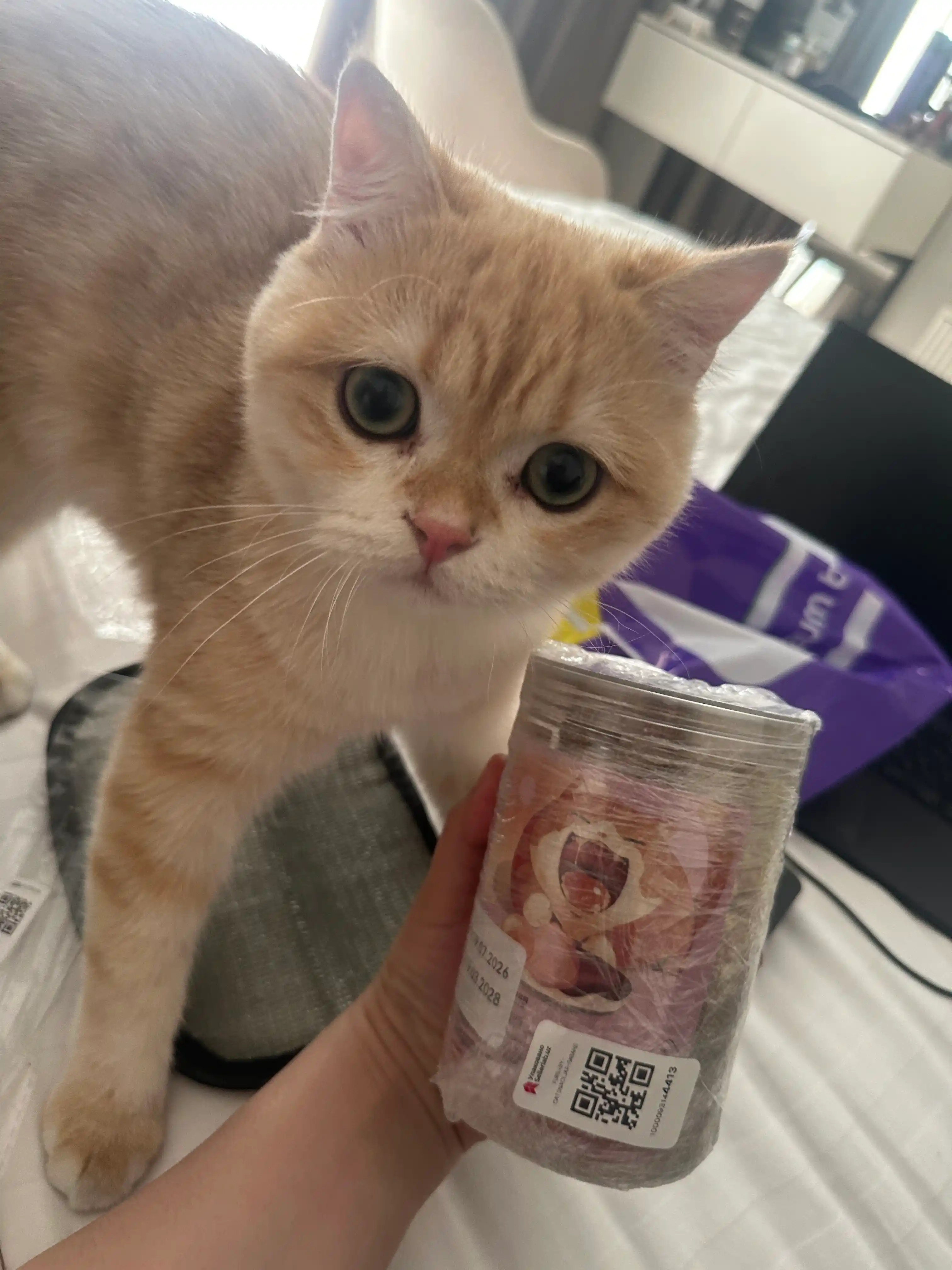 Лакомство сублимированное для кошек Kimpets в банке, натуральные мясные кубики