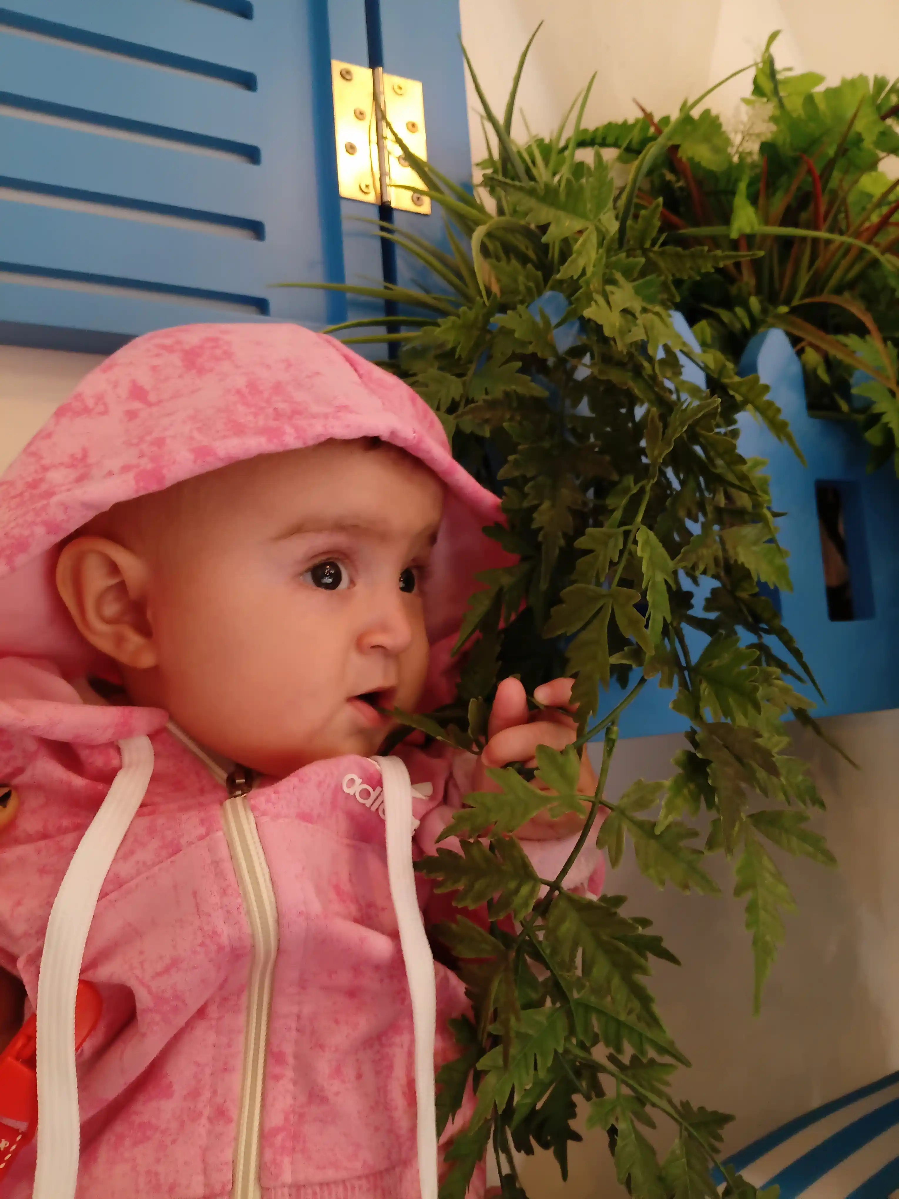 Bolalar uchun sport kostyumi, kapyushonli komplekt, o‘g‘il va qiz bolalar sport kiyimi