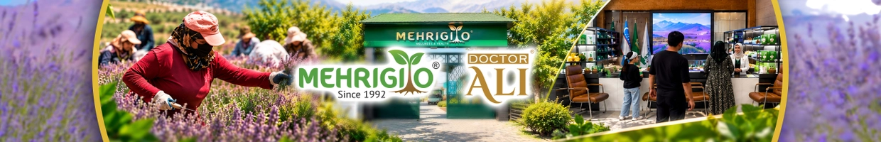 Mehrigiyo | Doctor Ali