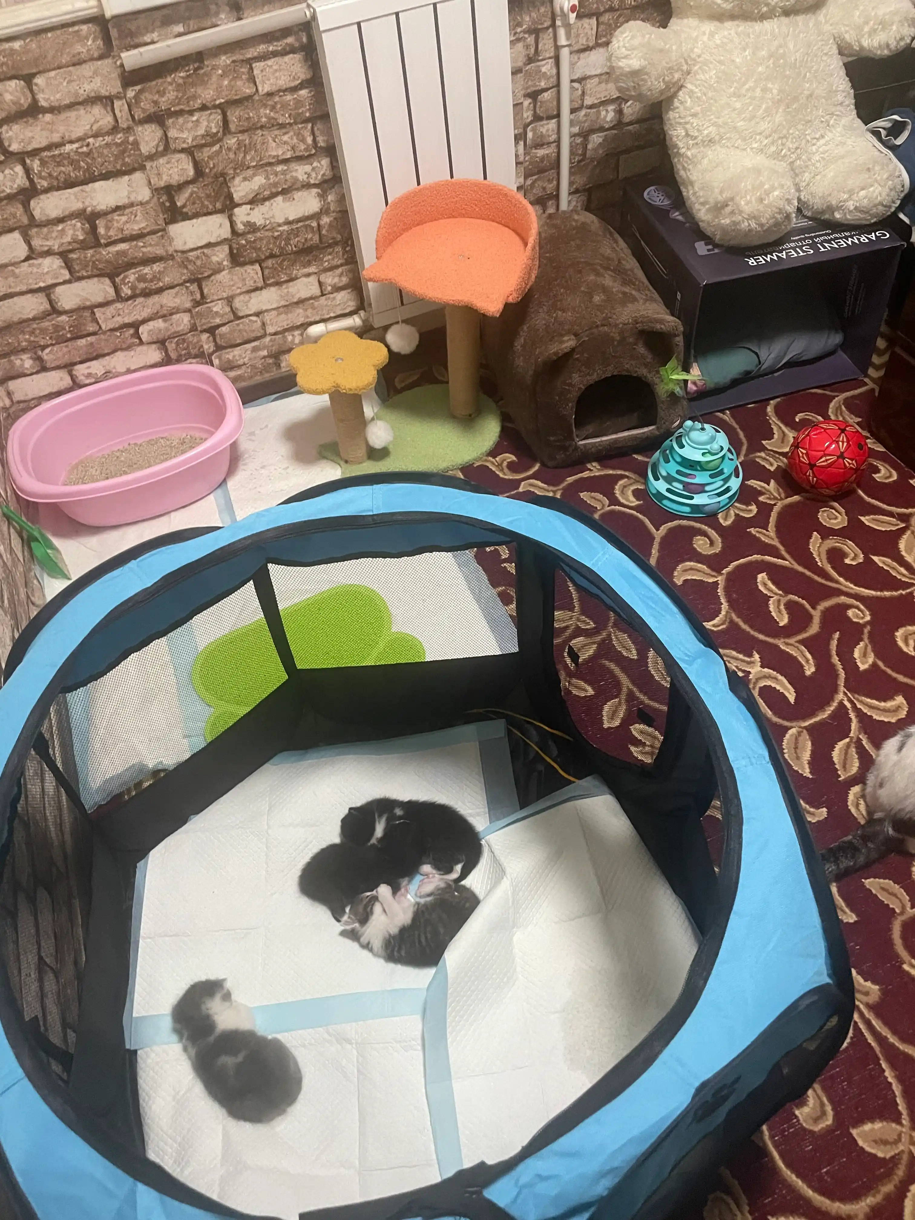 Пакеты для кошачьего туалета, 73x33 см, прочные, гигиеничные, одноразовые, 10 шт