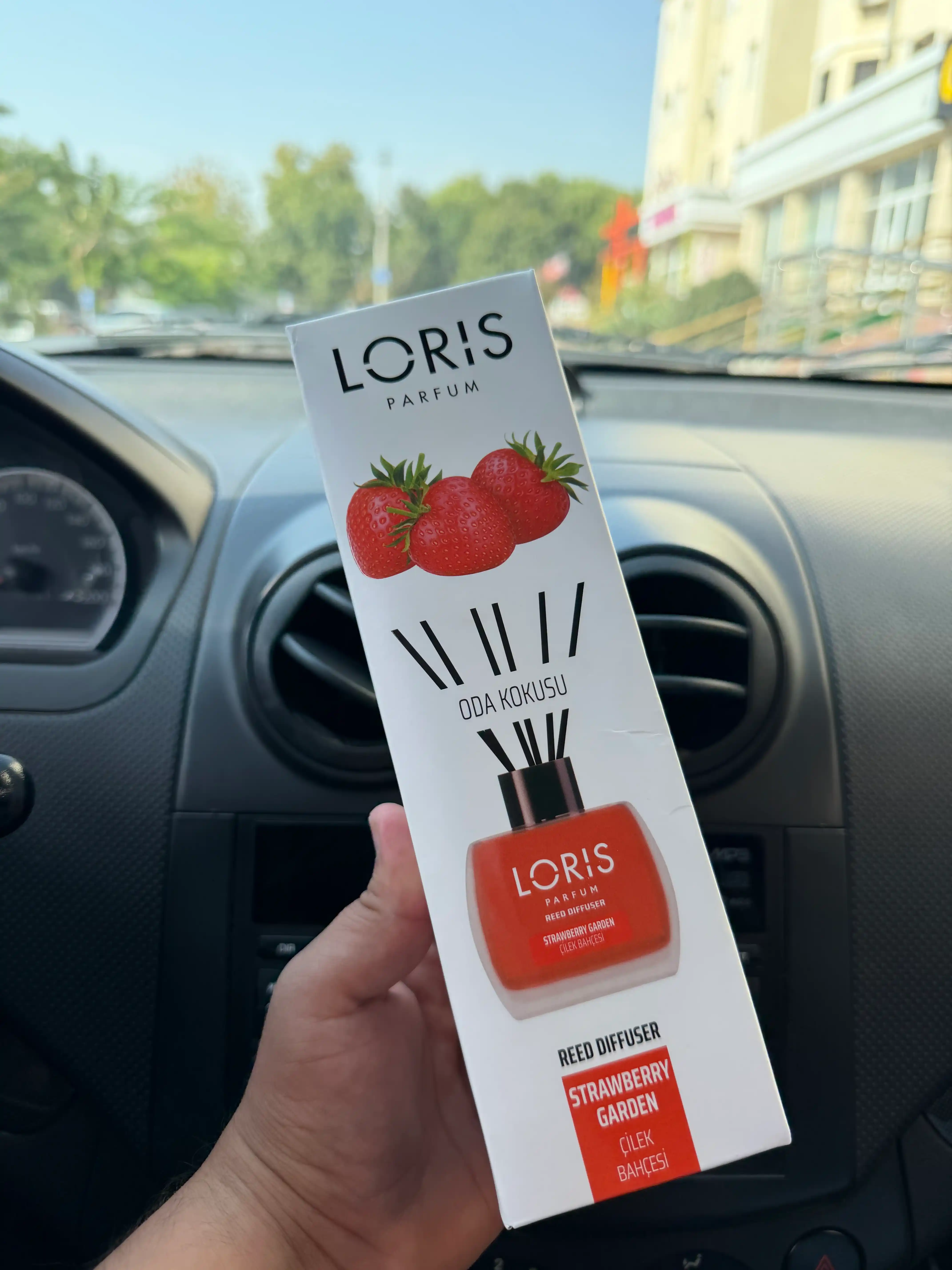 Аромадиффузор LORIS, LORIS, ароматизатор для дома гостиниц и офиса, 120 мл
