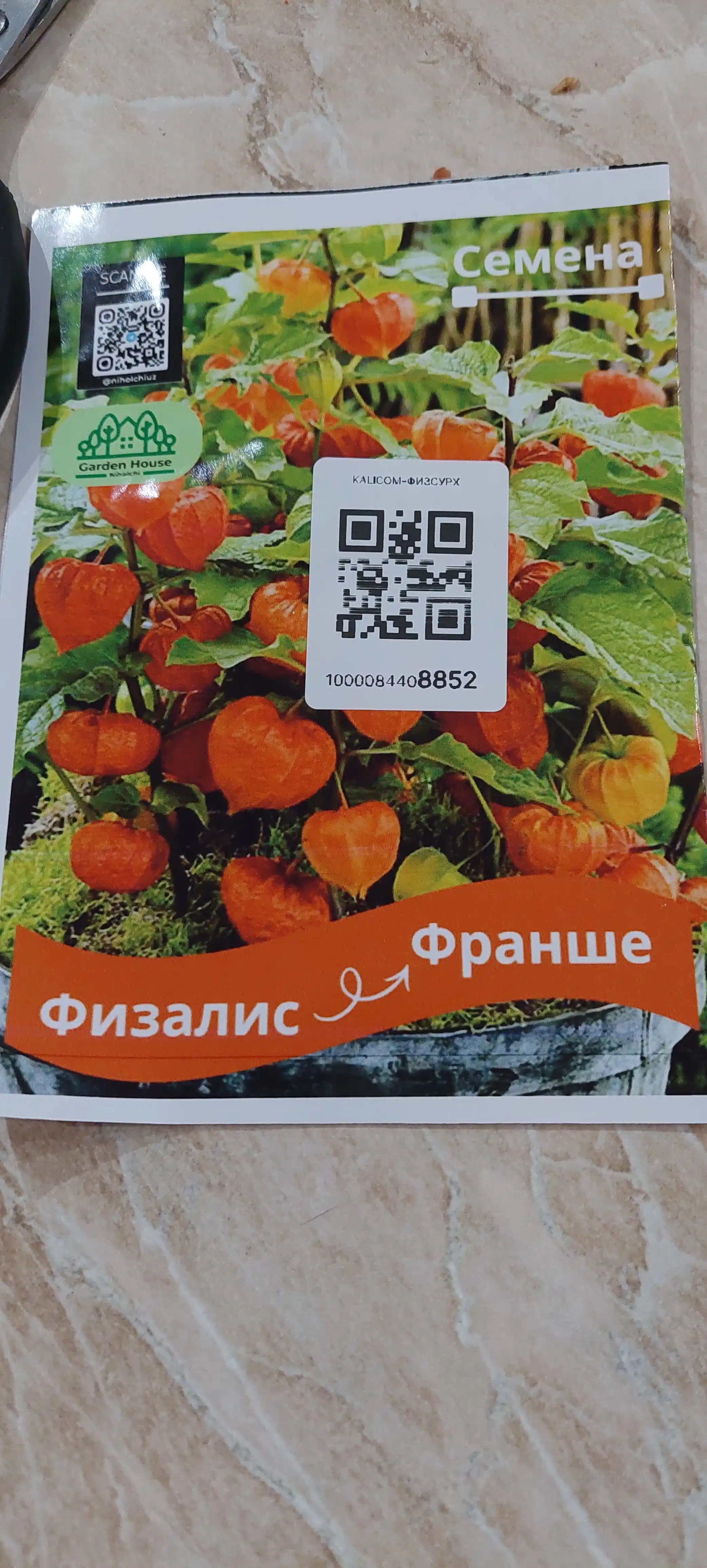 Физалис Франше (Physalis franchetii, alkekengi)