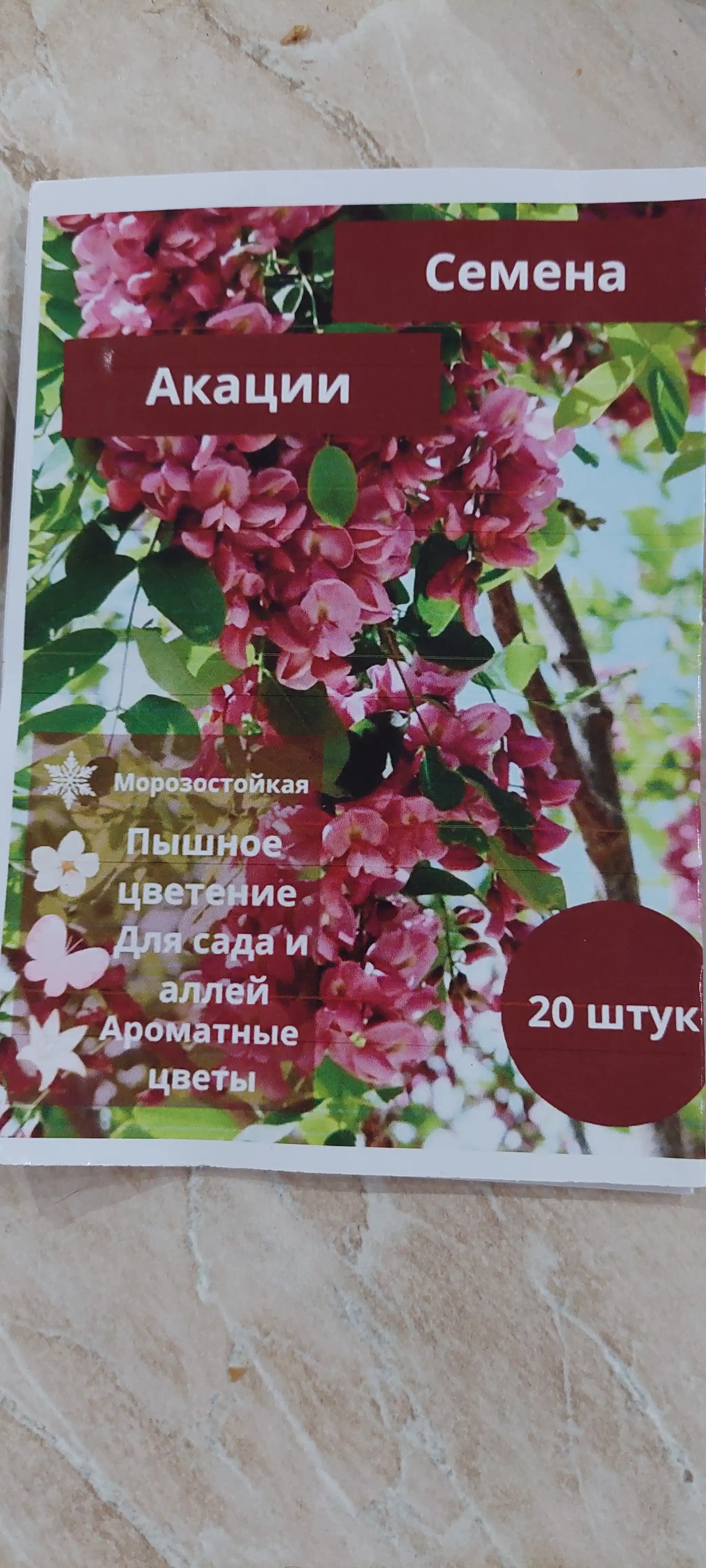Физалис Франше (Physalis franchetii, alkekengi)