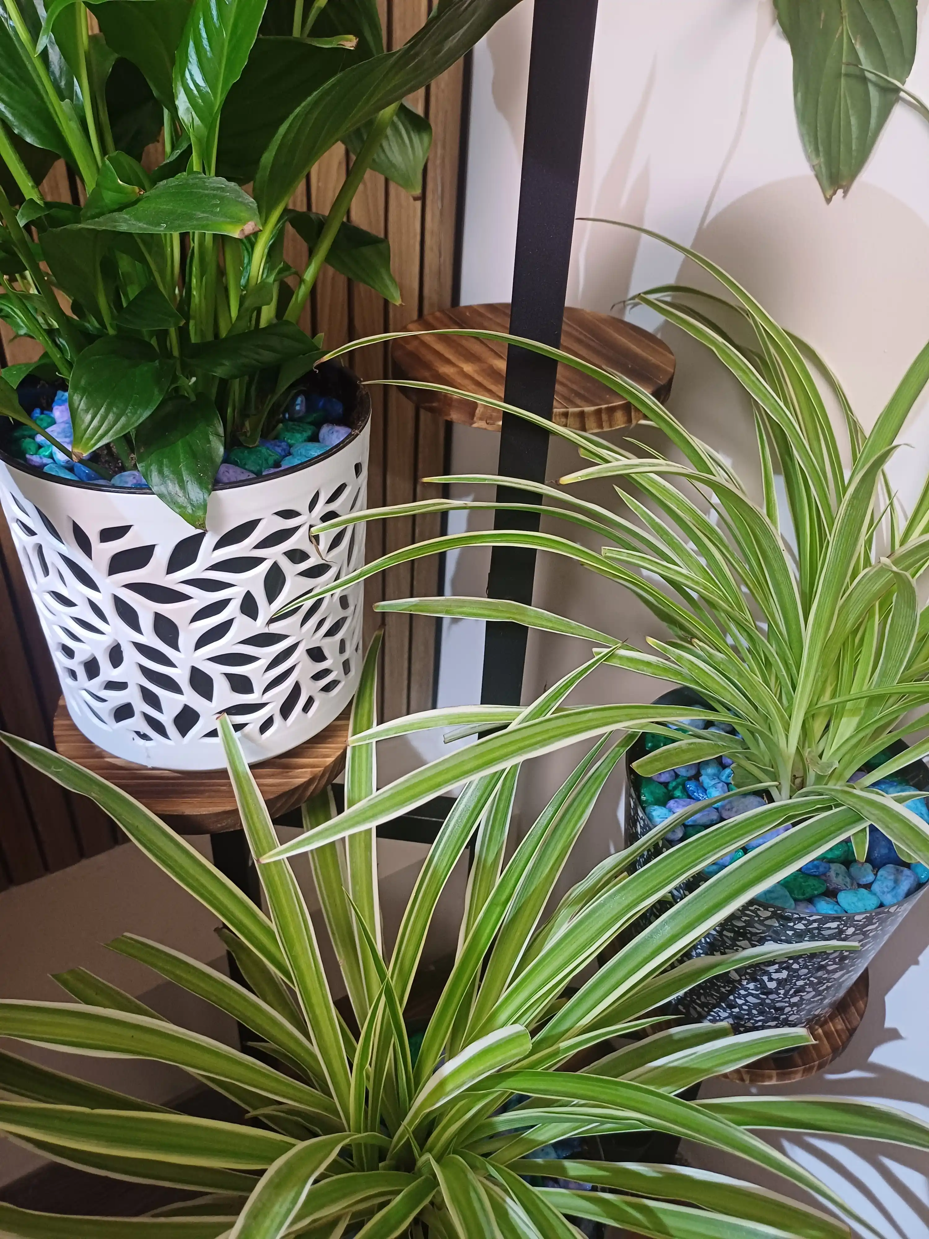 Akvarium, kashpo, gullar va interyer uchun dekorativ rangli toshlar, tabiiy shag‘al