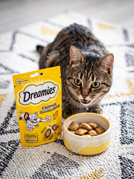 Лакомство для кошек Dreamies, подушечки с сыром, 60 г - 